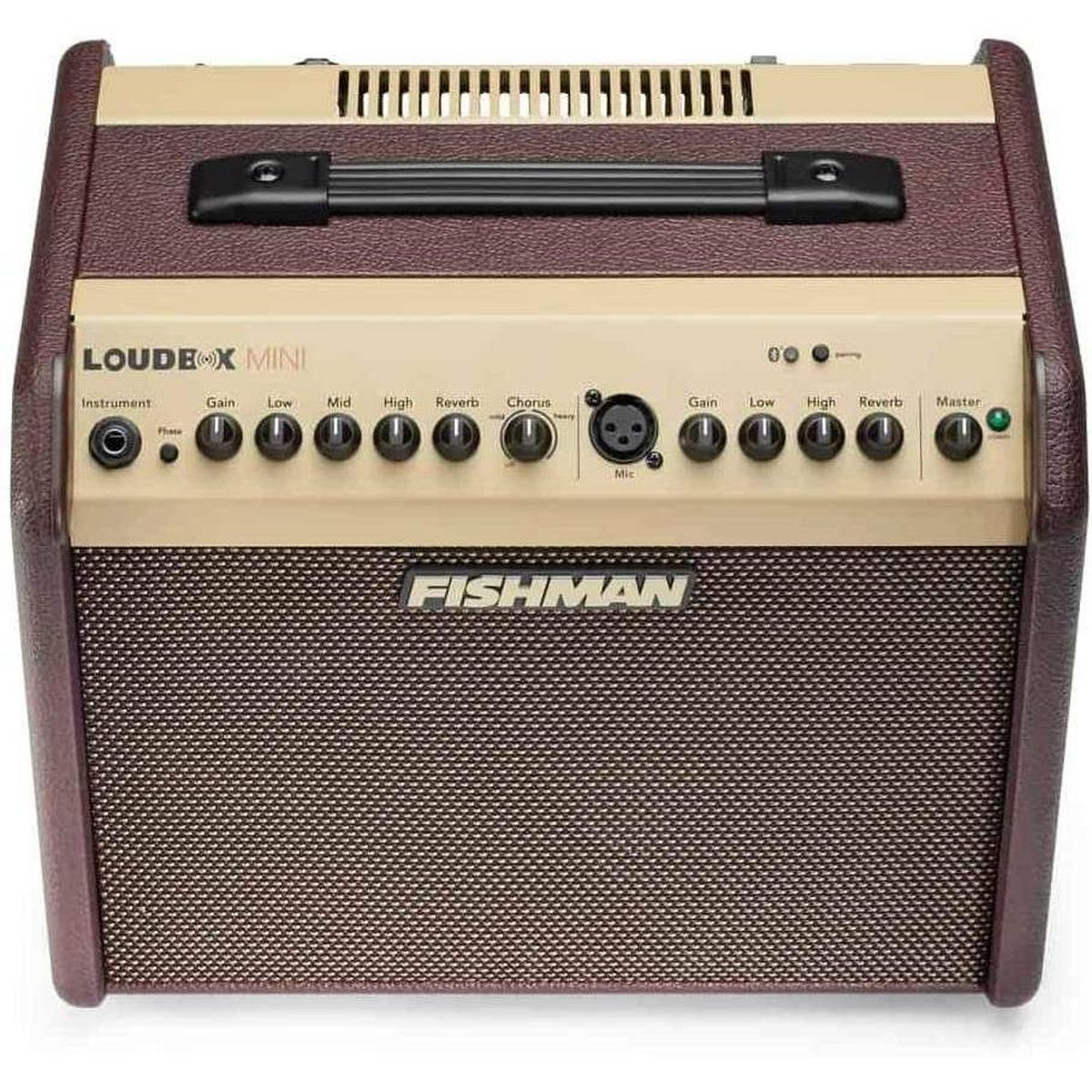 Fishman Loudbox Mini acoustic guitar amplifier with control panel at Terry Carter Music Store