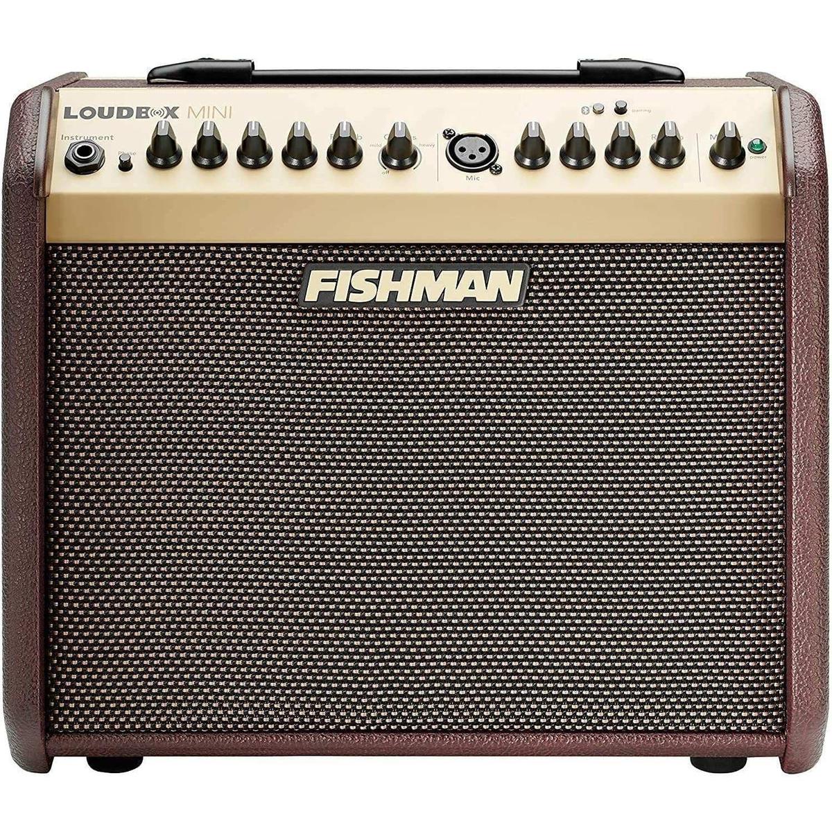 Fishman Loudbox Mini acoustic amp front view with controls at Terry Carter Music Store