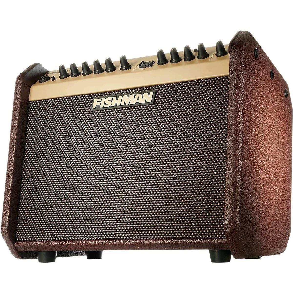 Fishman acoustic guitar amplifier with brown textured finish at Terry Carter Music Store.