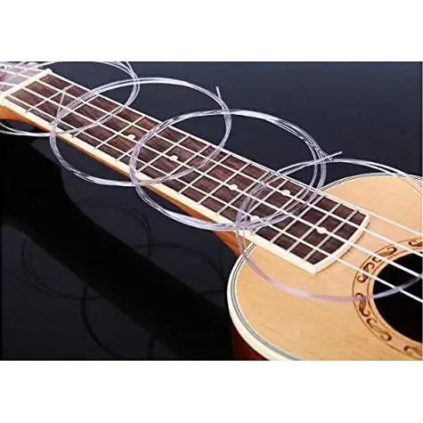 9d811f5353d23f7facca76423f5c221b_dafe9c35-40f7-42d6-b6cb-0b6af68b18ce | Terry Carter Music Store