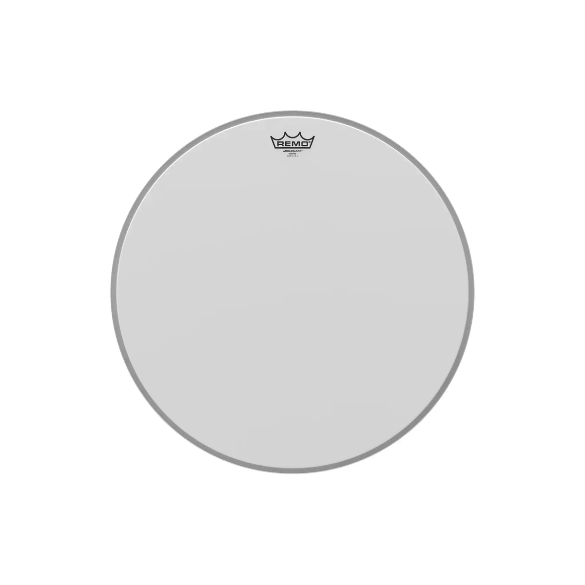 AmbassadorSeriesClearDrumheadBass20_DiameterModel-all | Terry Carter Music Store