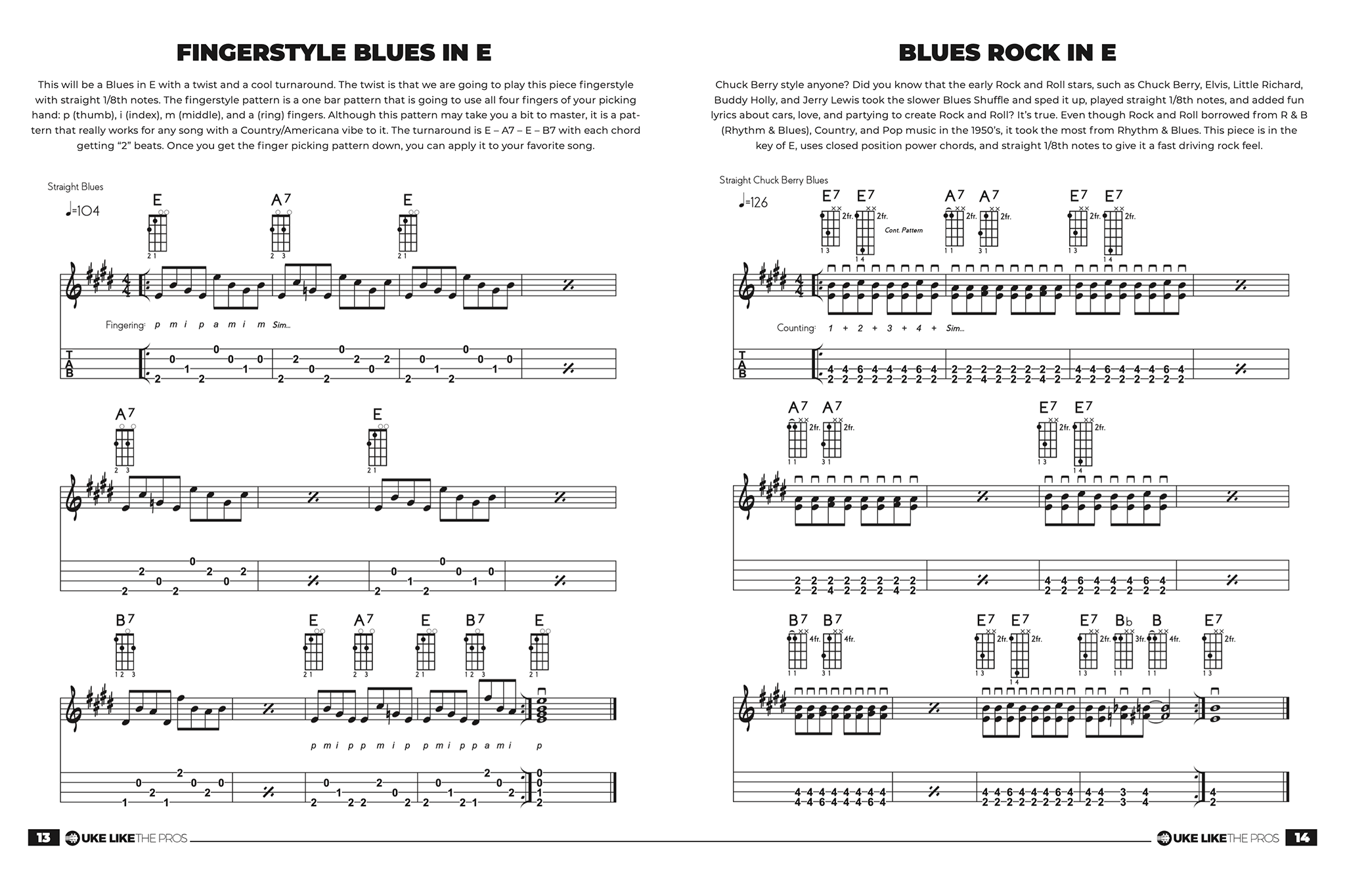 Baritone Ukulele Blues Mastery Book
