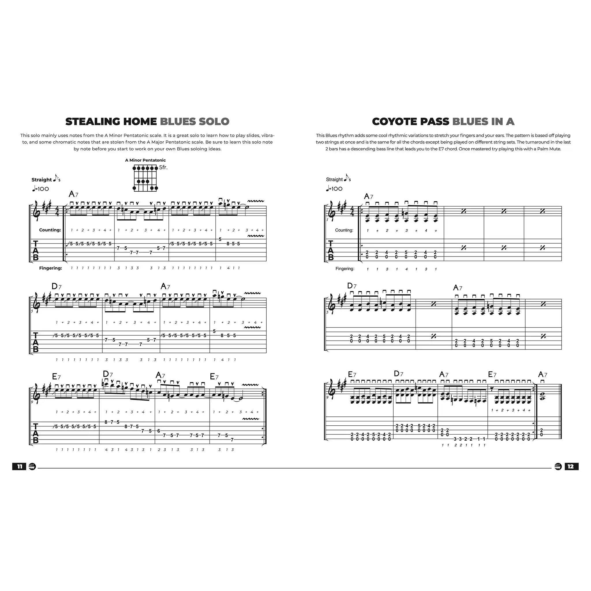 BluesGuitarMasteryBook-INTERMEDIATE-inside1 | Terry Carter Music Store
