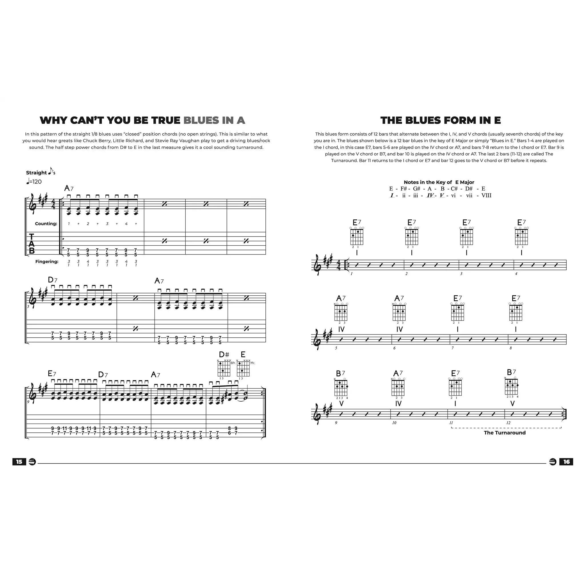 BluesGuitarMasteryBook-INTERMEDIATE-inside2 | Terry Carter Music Store