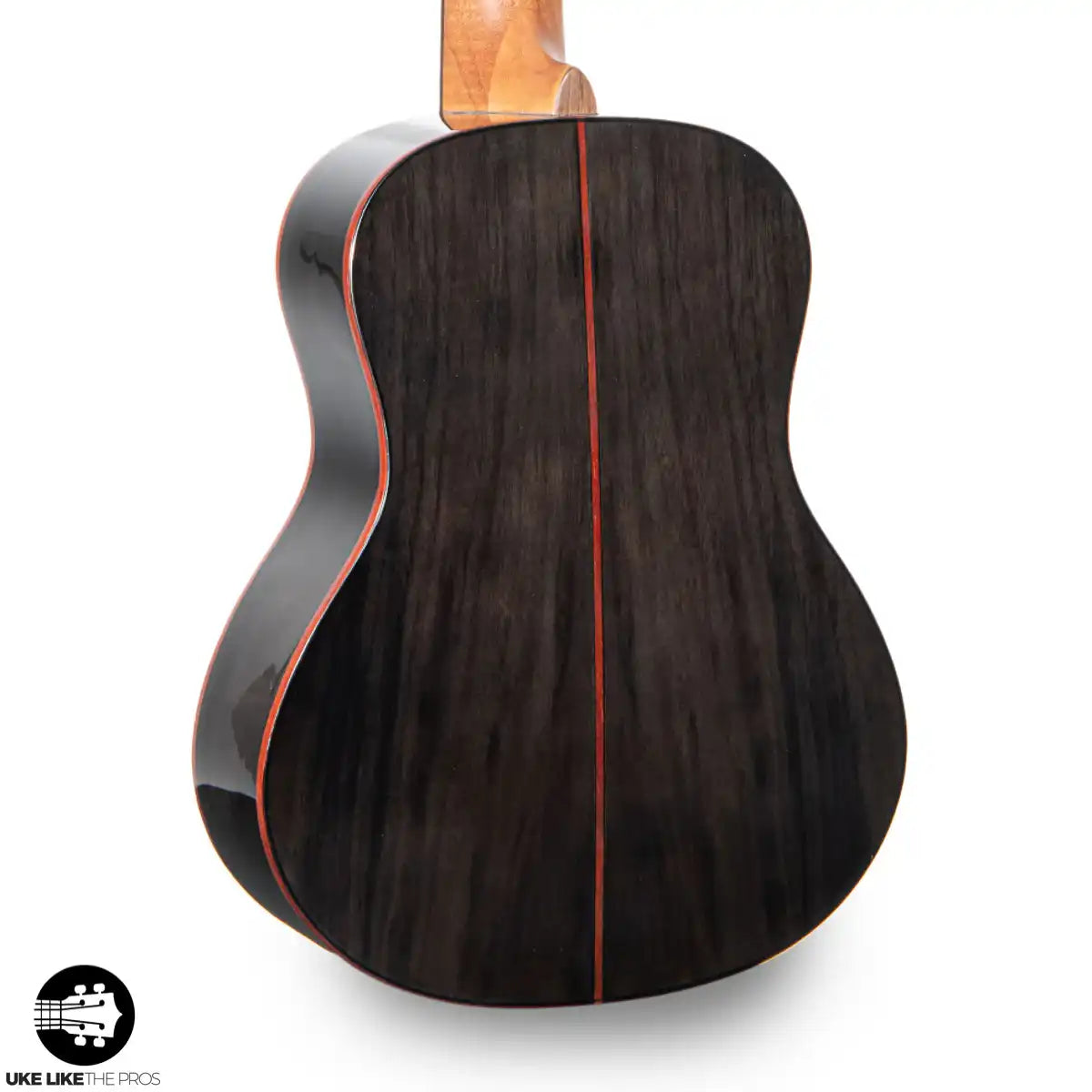 FlightDiana_005-2 | Terry Carter Music Store