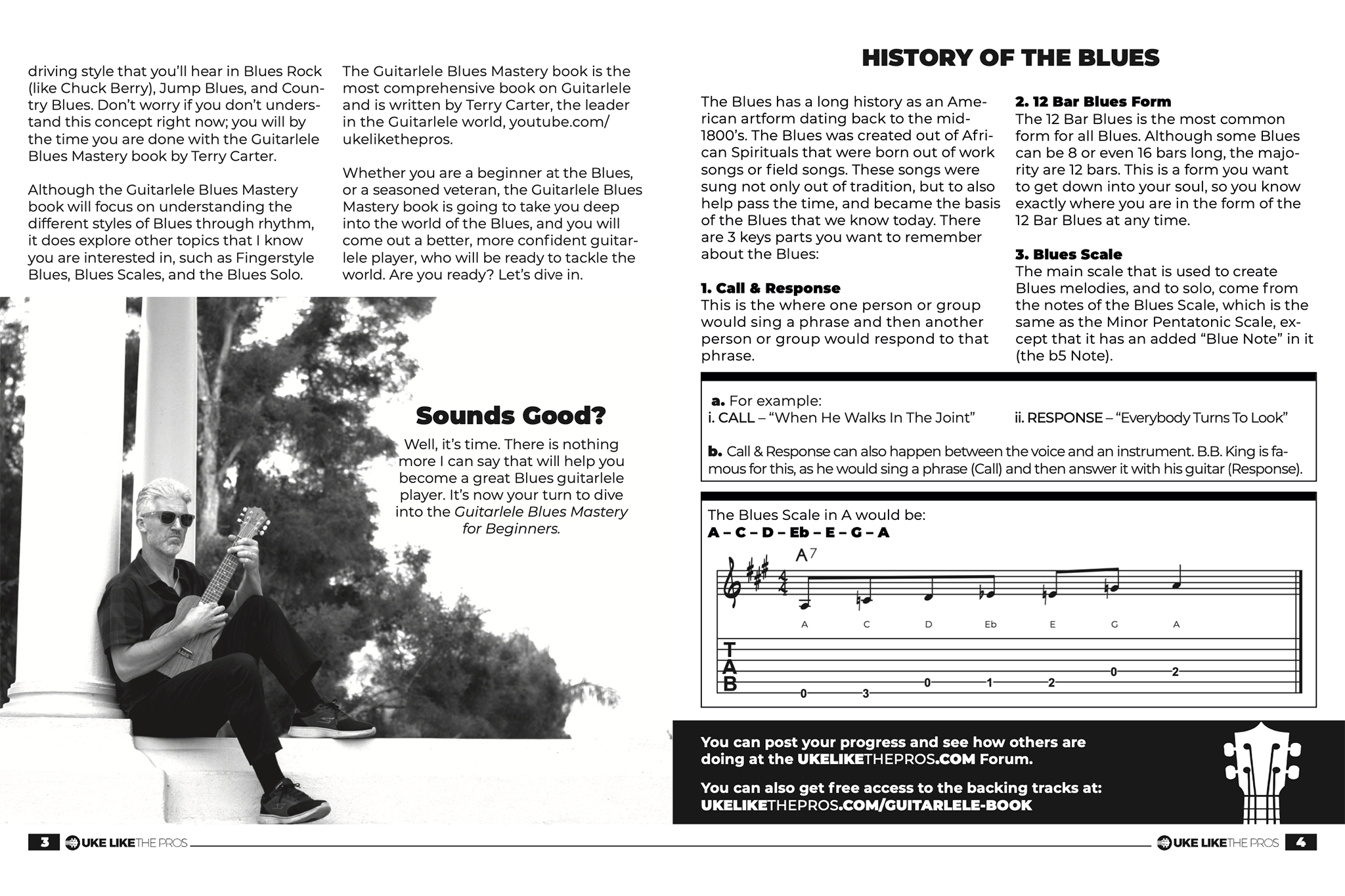 Guitarlele Blues Mastery Book