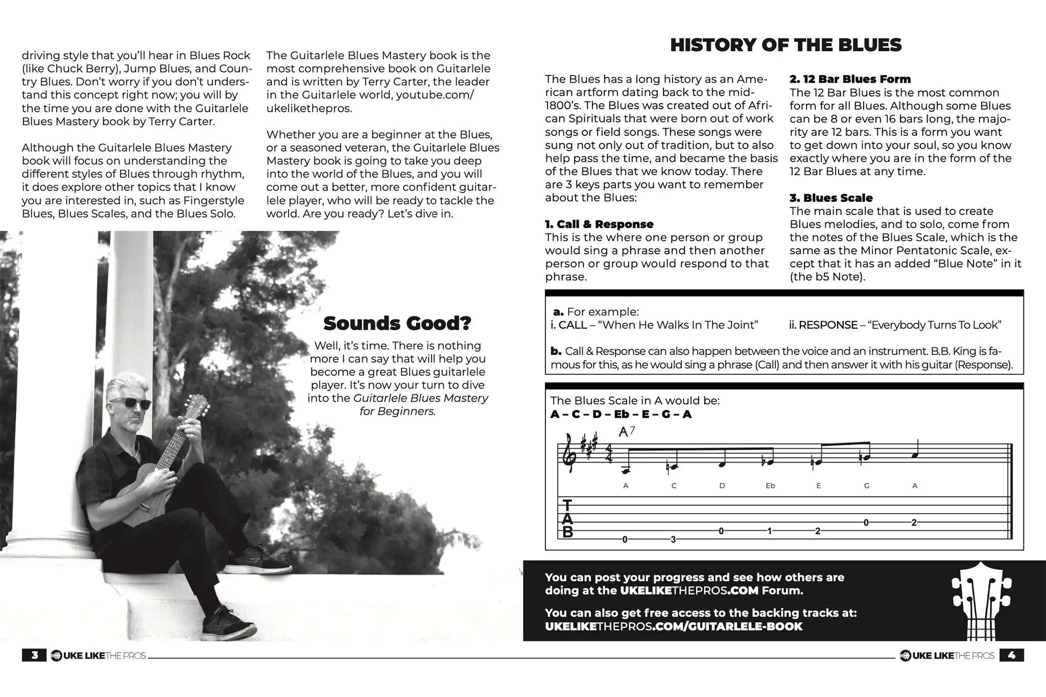 GuitarleleBluesMasteryBook-historyofblues | Terry Carter Music Store