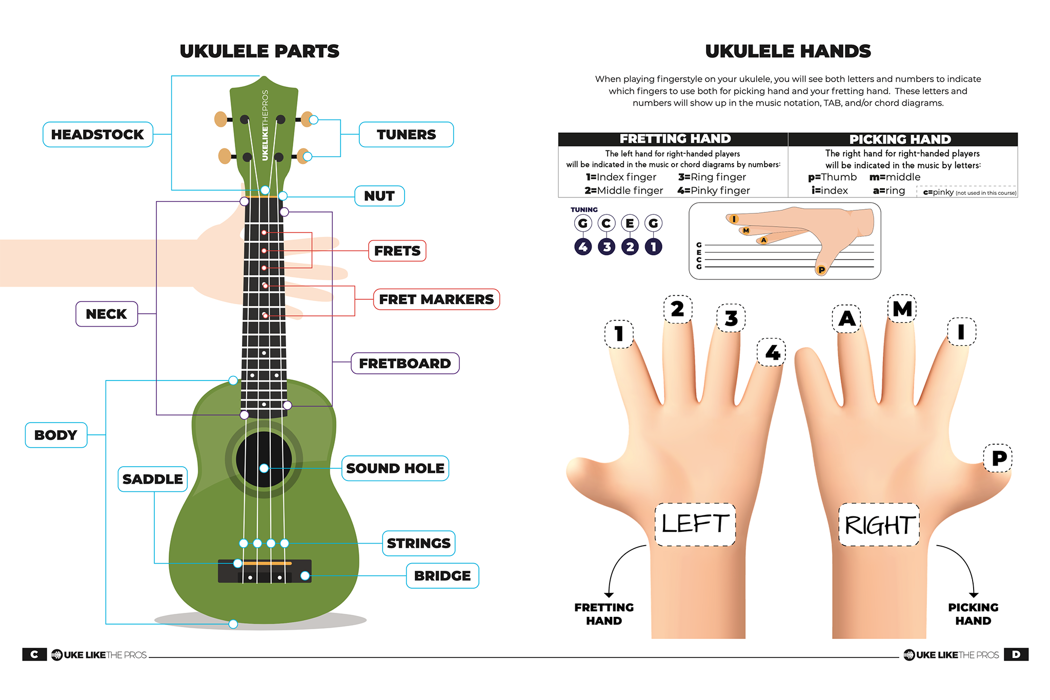 Beginning Kids Course Songbook by Terry Carter
