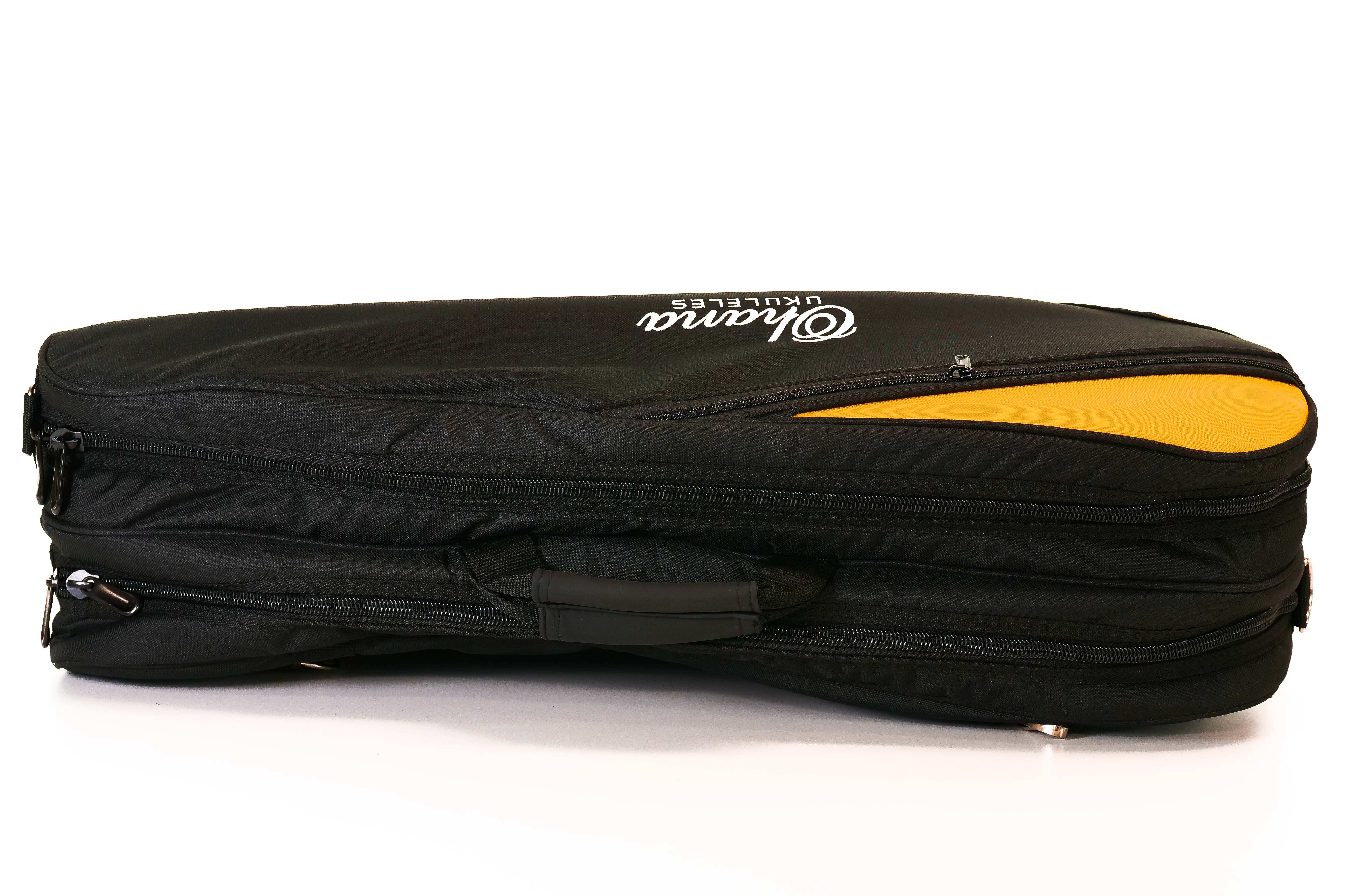 P1944888_bf575d67-5055-45de-82fa-944a47c04caf | Terry Carter Music Store