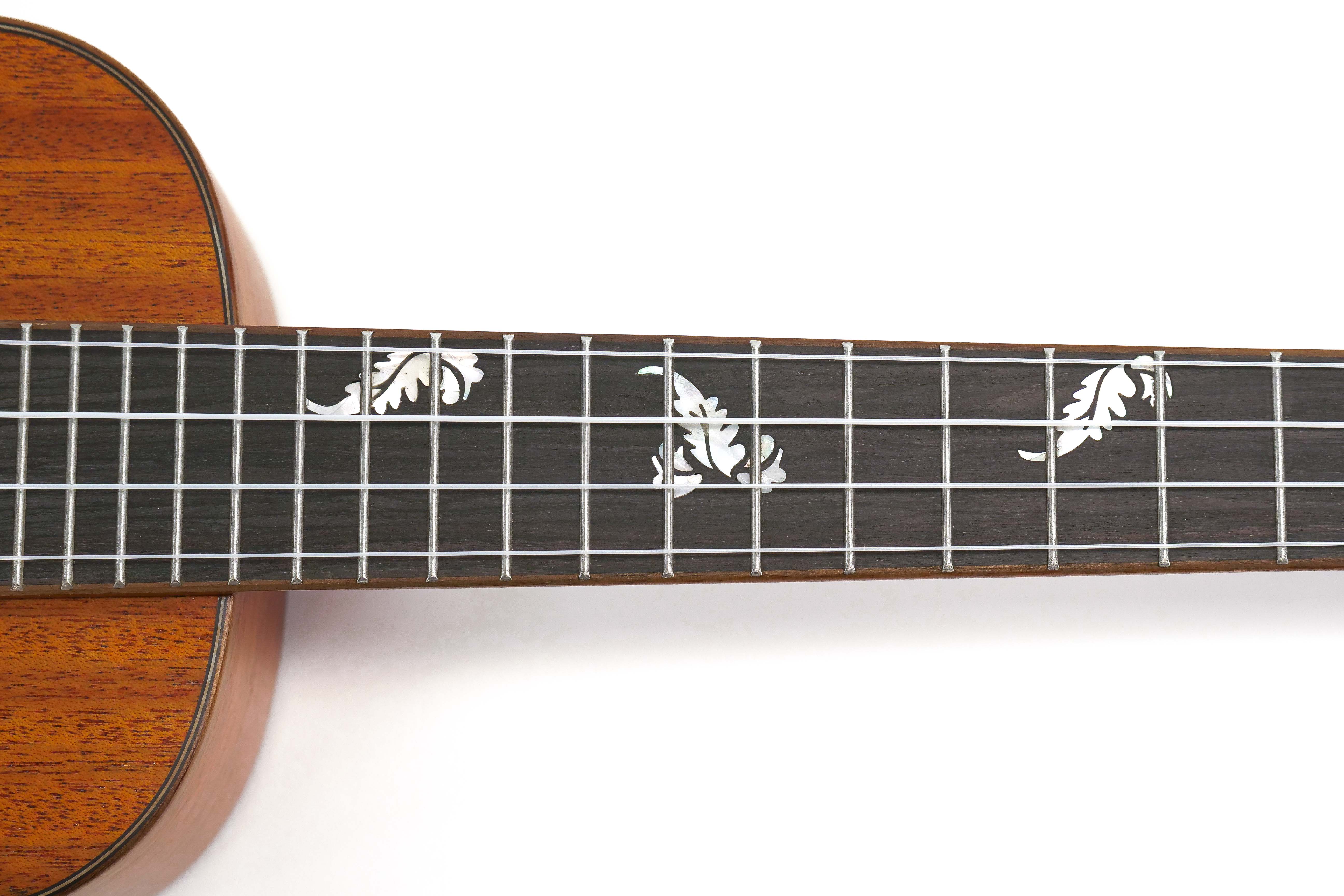 fretboard