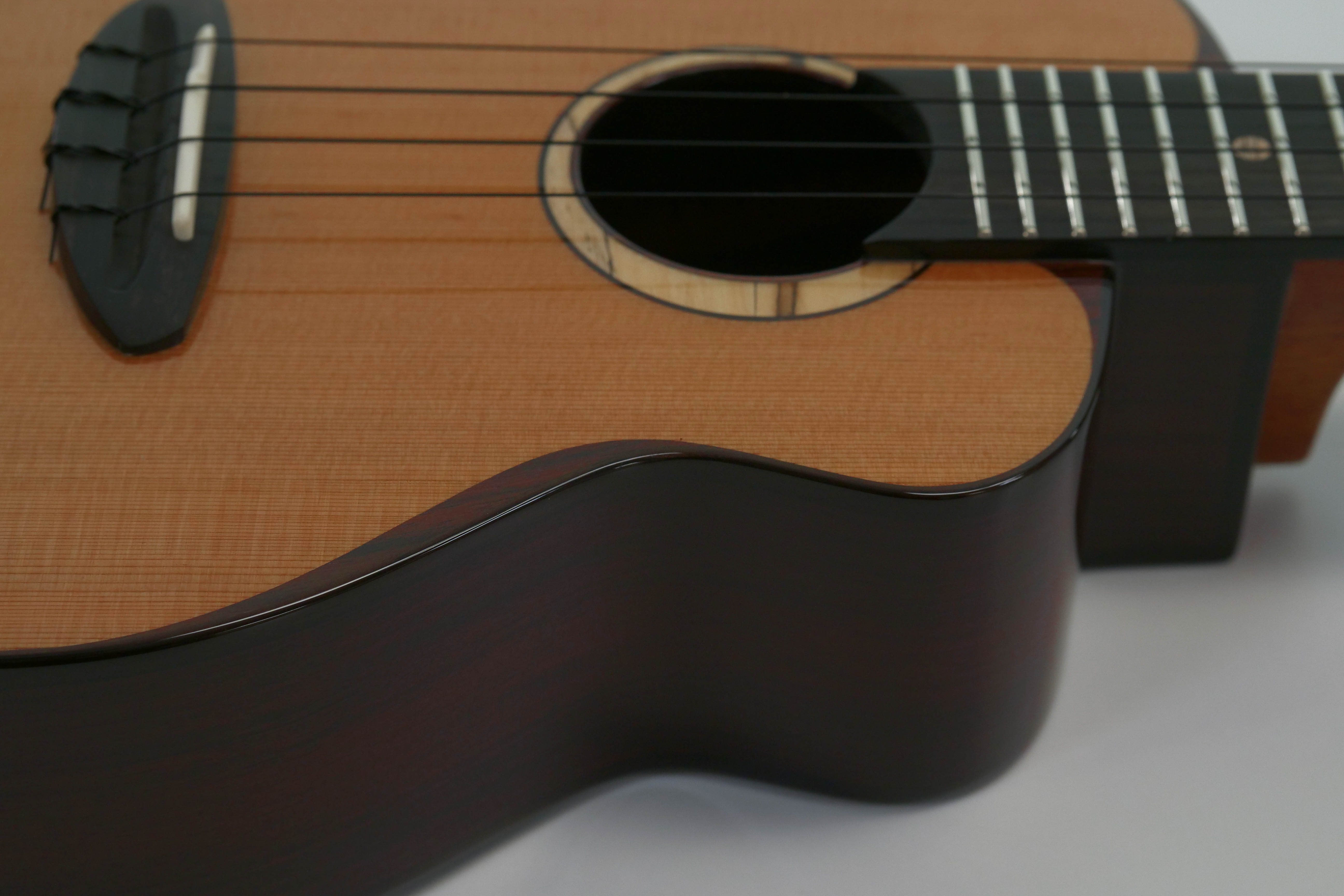 ANueNue UC214 Cedar Bird Cedar/Rosewood Concert Ukulele "LONAI"