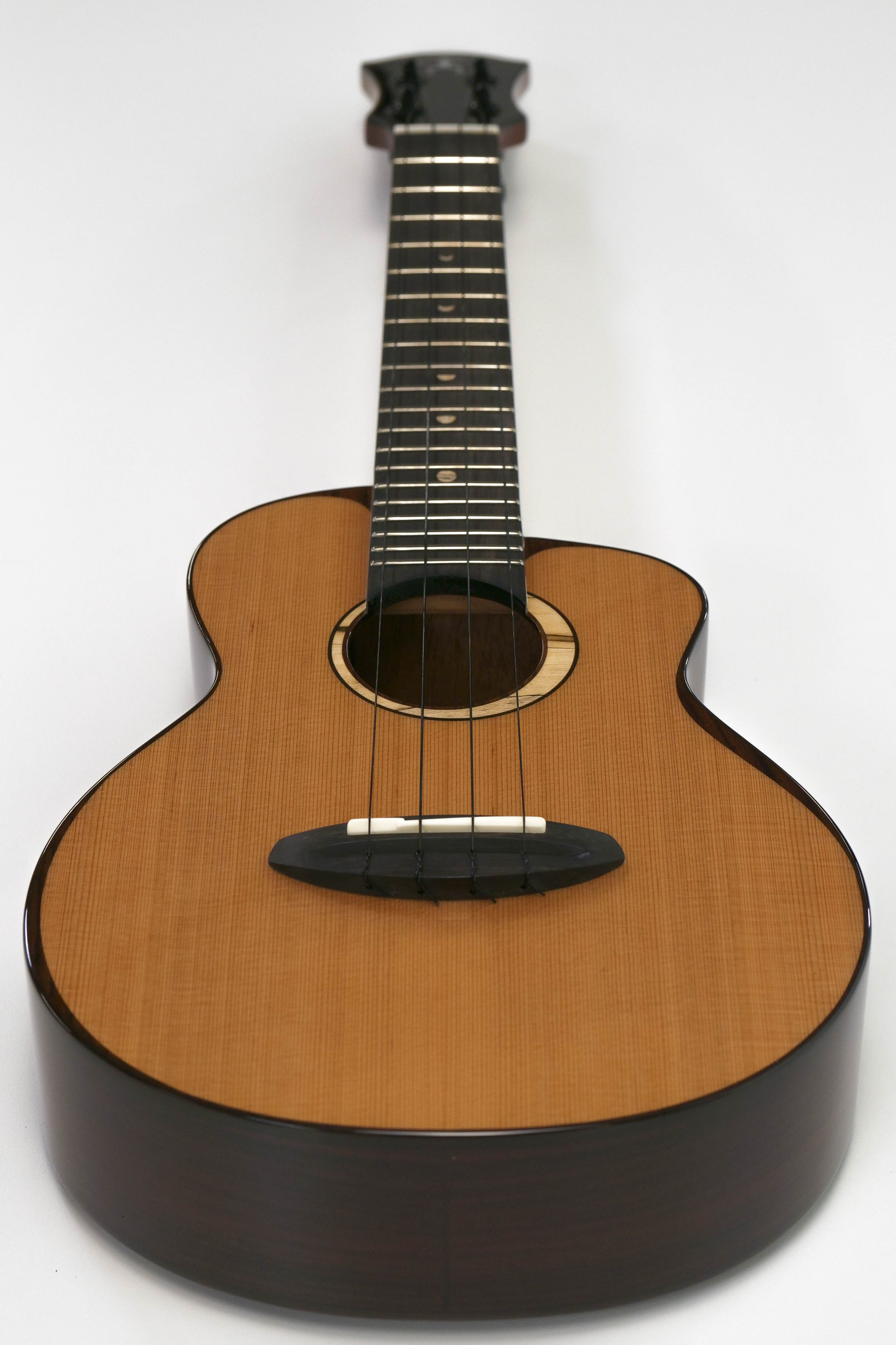 ANueNue UC214 Cedar Bird Cedar/Rosewood Concert Ukulele "LONAI"