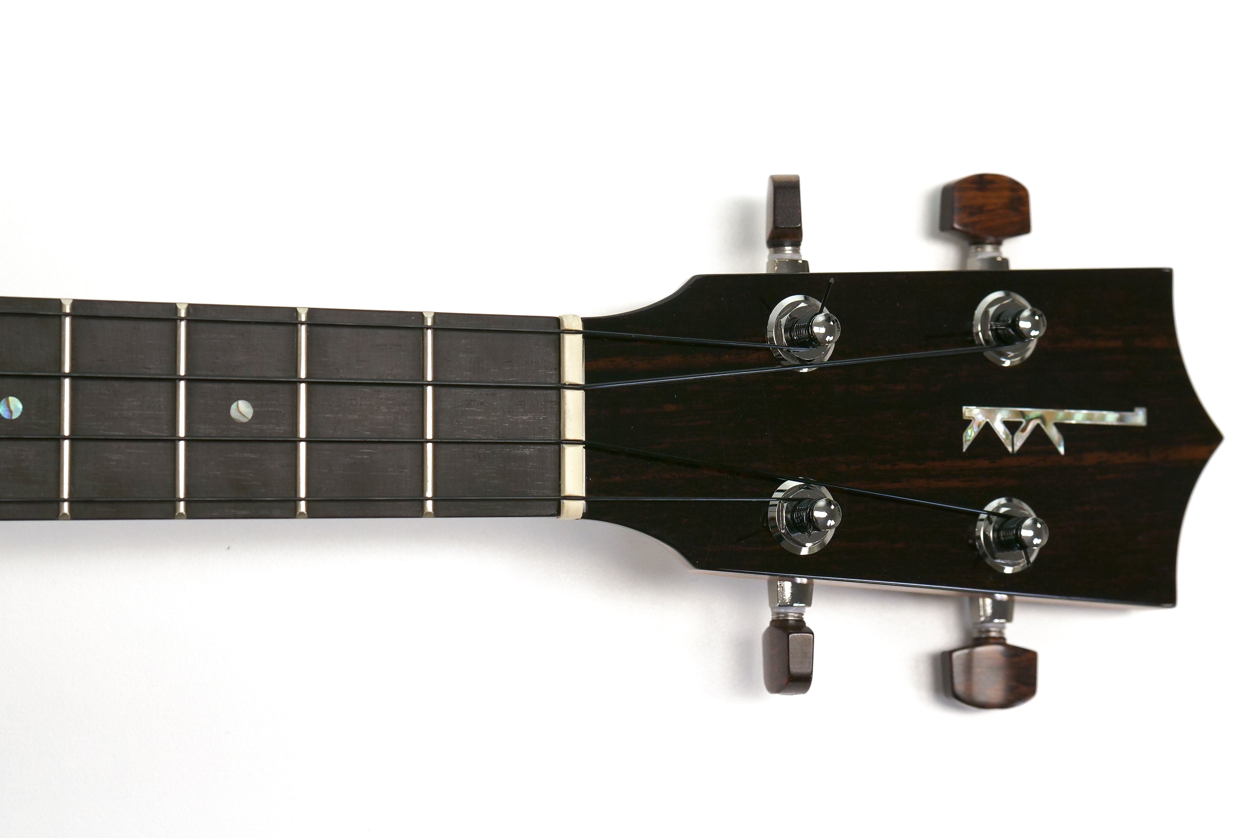 logo on front of headstock