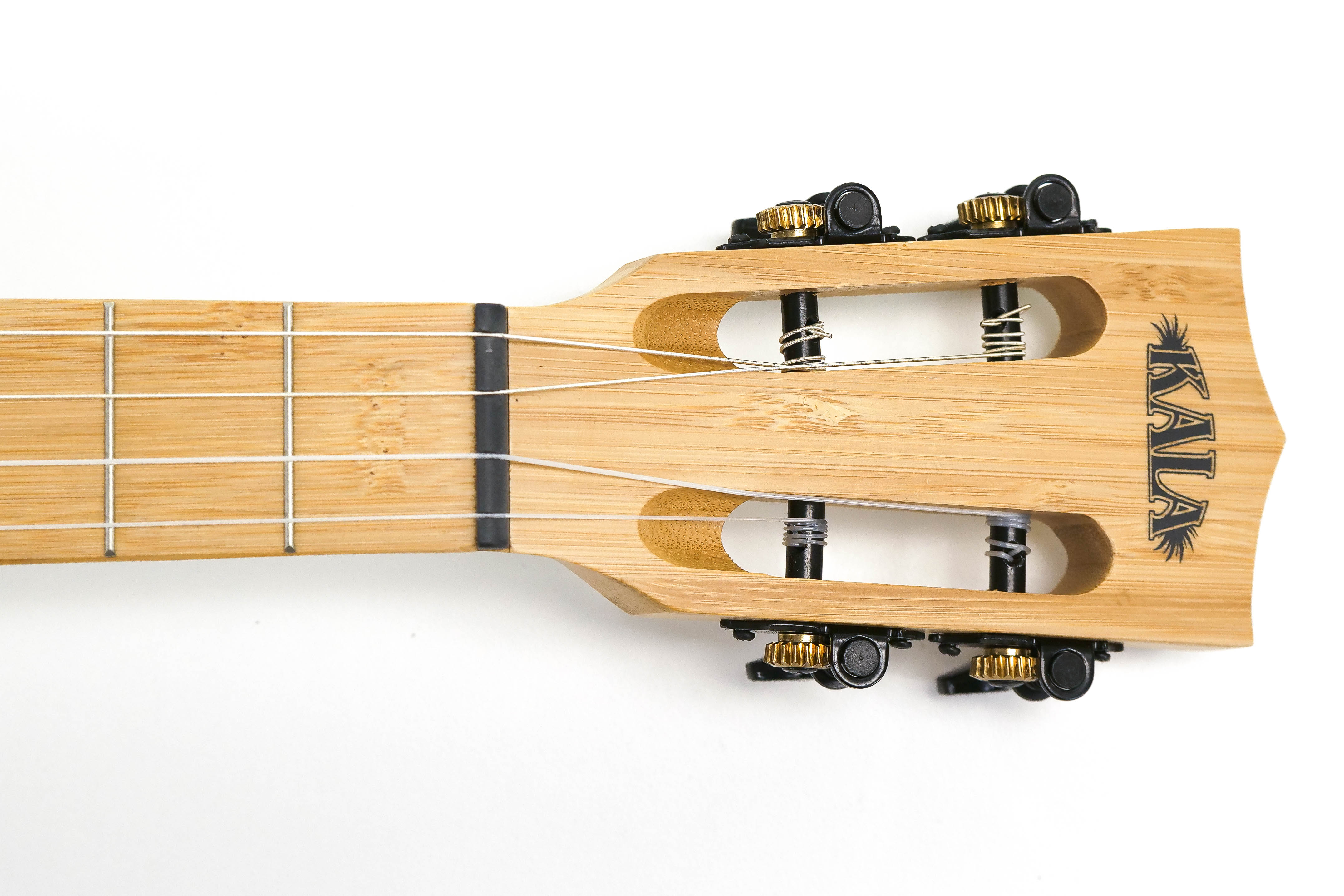 P2000603 | Terry Carter Music Store