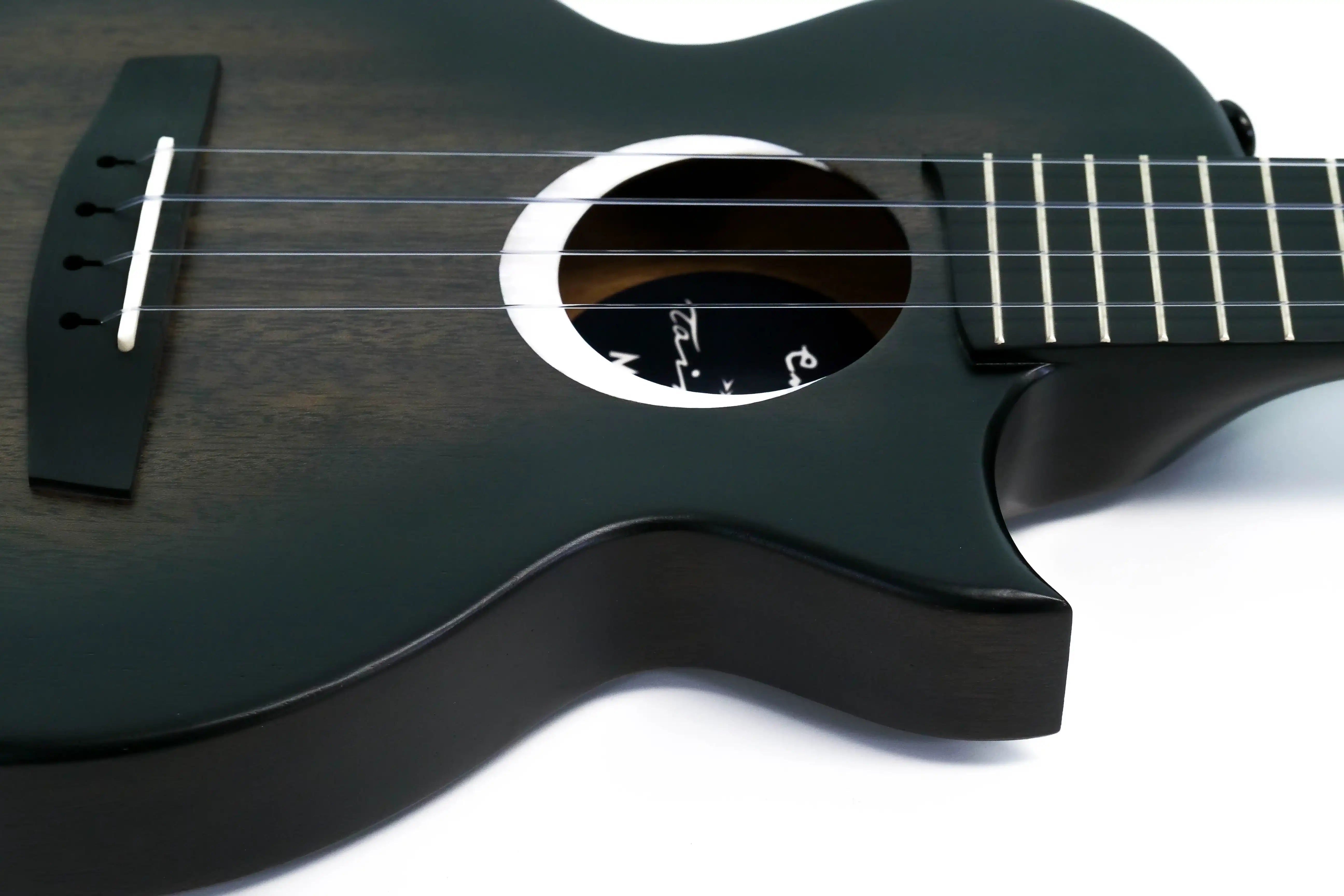 P2011654 | Terry Carter Music Store