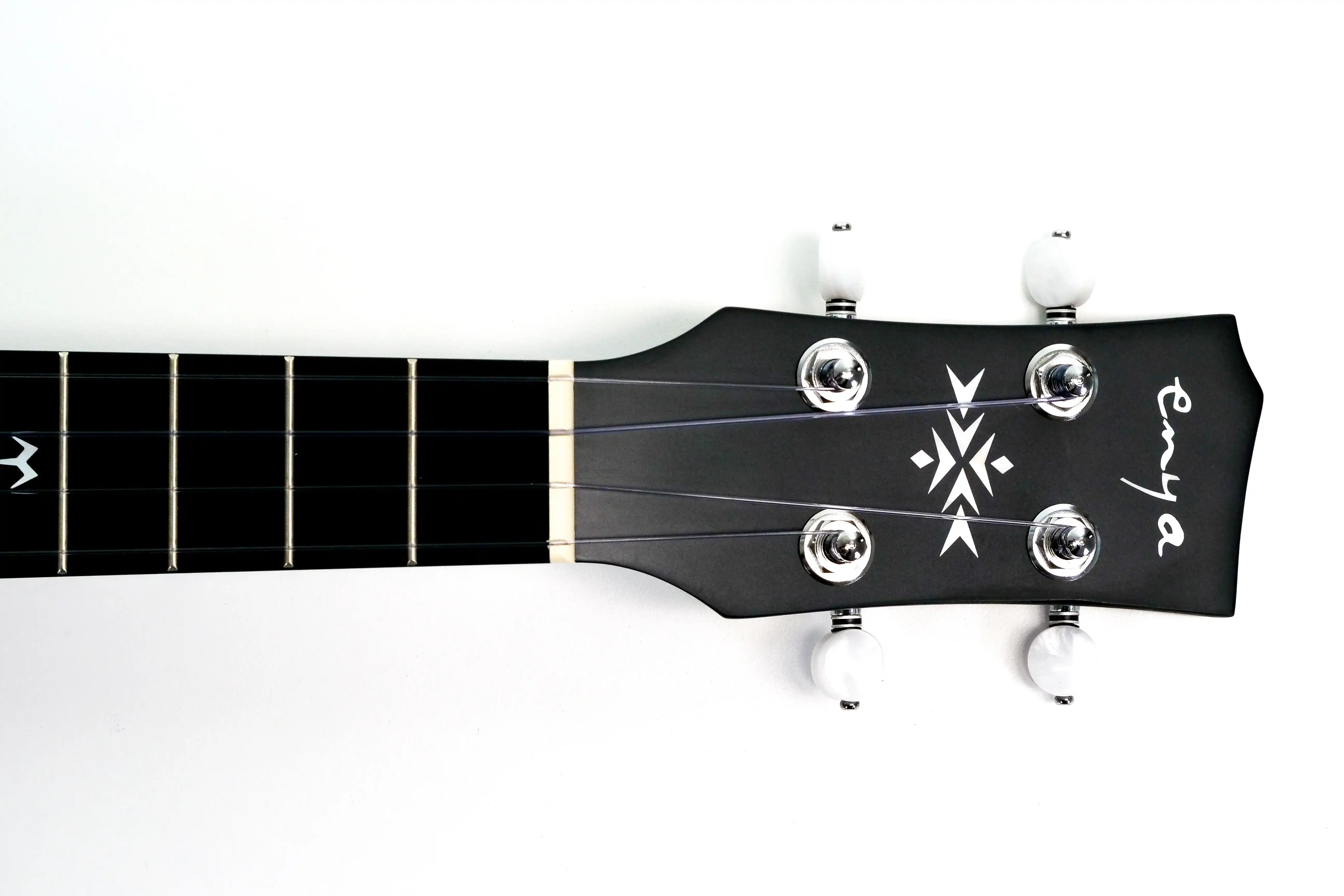 P2011657 | Terry Carter Music Store