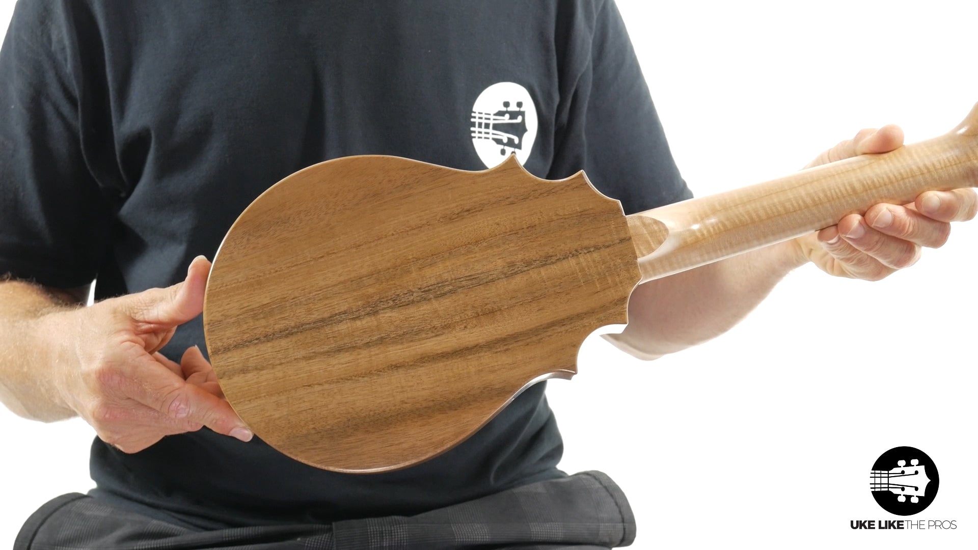 UkeSA Pineapple Sunday Opio Concert Ukulele Acacia "Scientist"