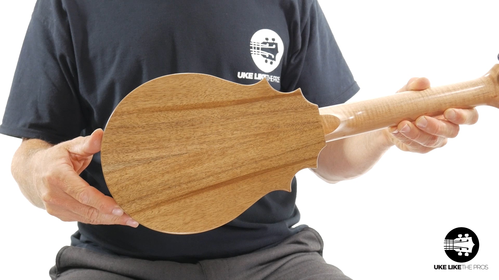 UkeSA Pineapple Sunday Opio Concert Ukulele Acacia "White Ember" 20% OFF