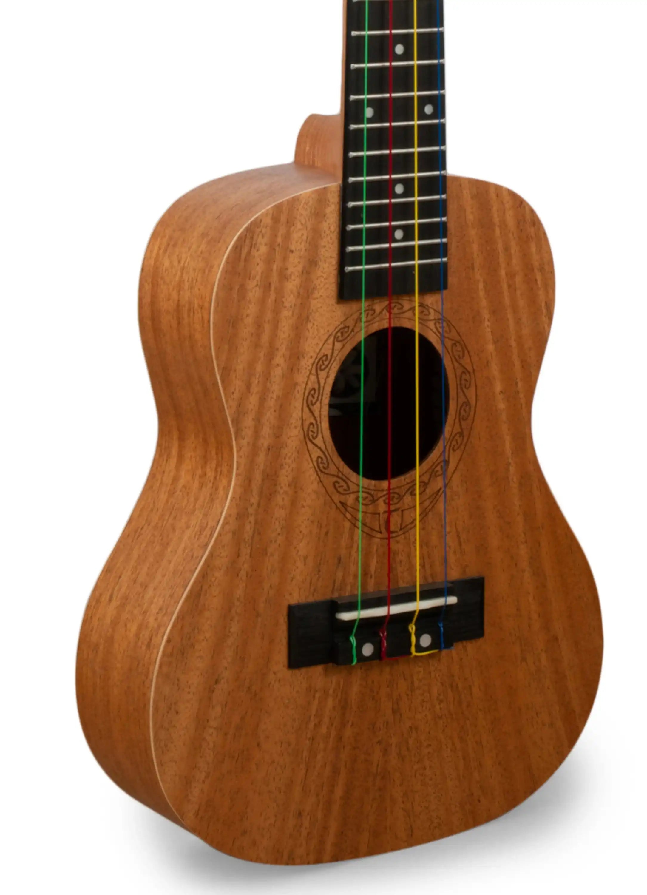 PRO_0045-2_76cc83fa-4fcd-4637-9941-df2b5a2e4149 | Terry Carter Music Store