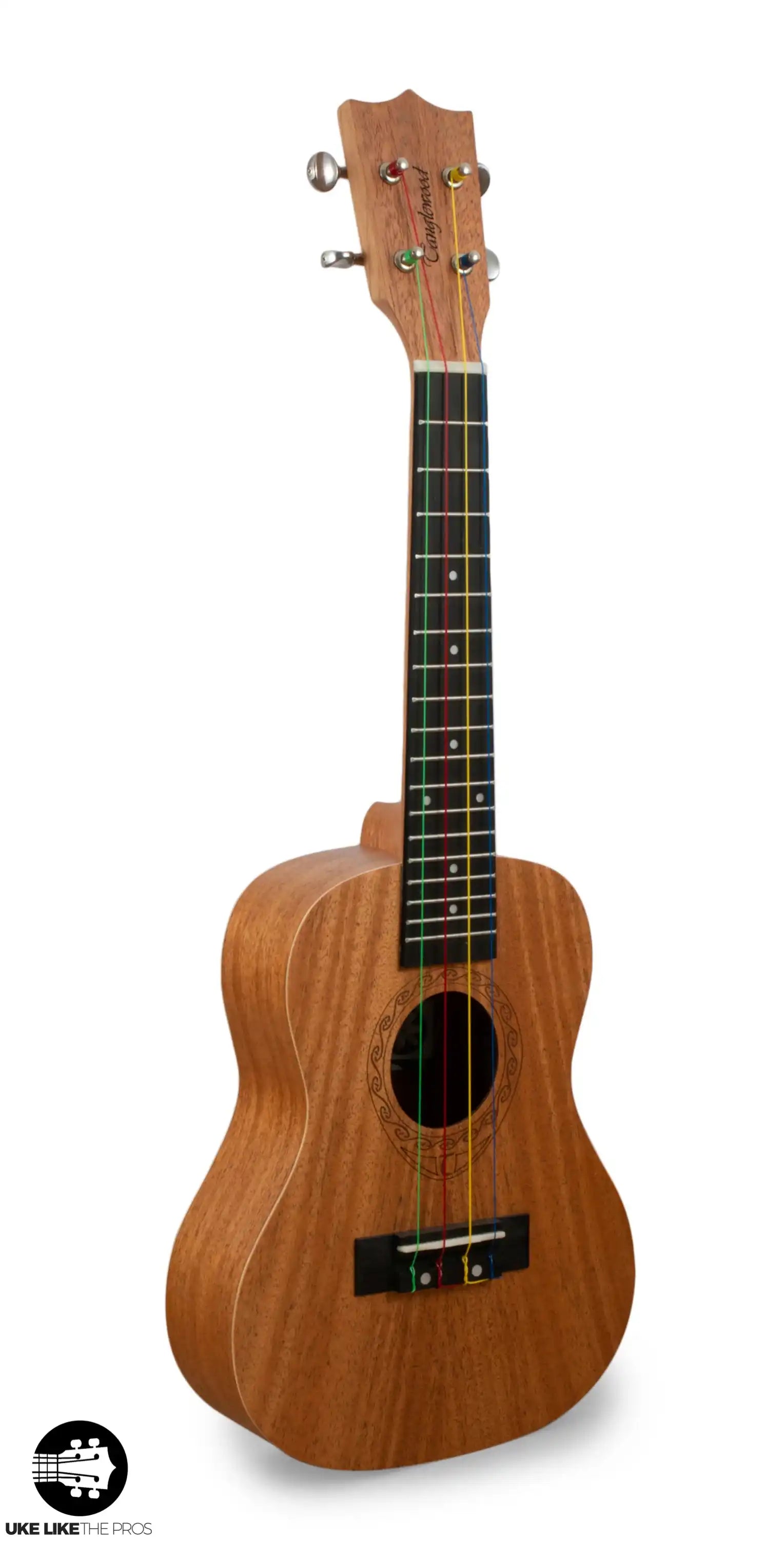 PRO_0045 | Terry Carter Music Store