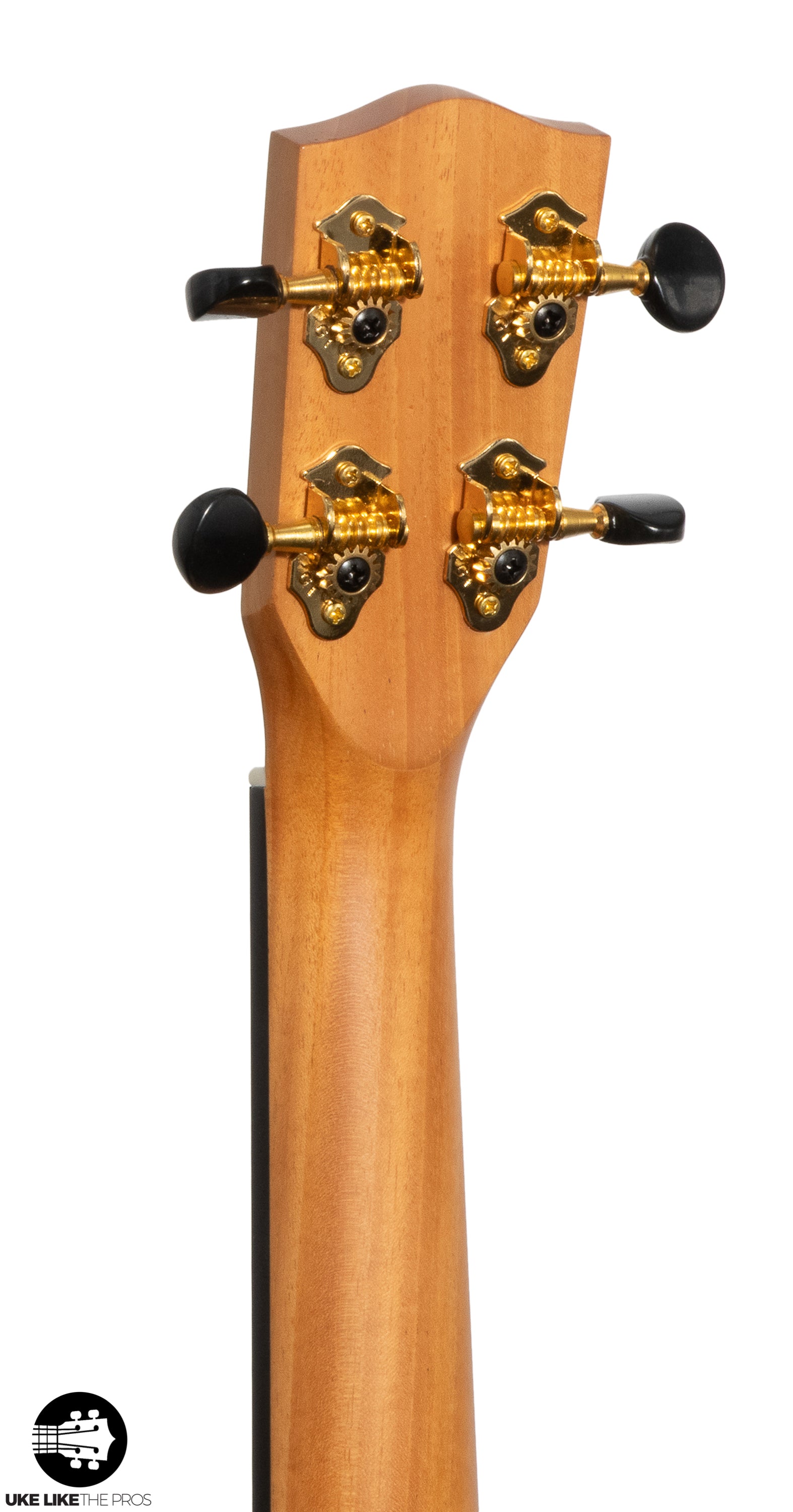 Pono MGCDP Deluxe Pineapple Concert Ukulele All Solid Mango "Olly"