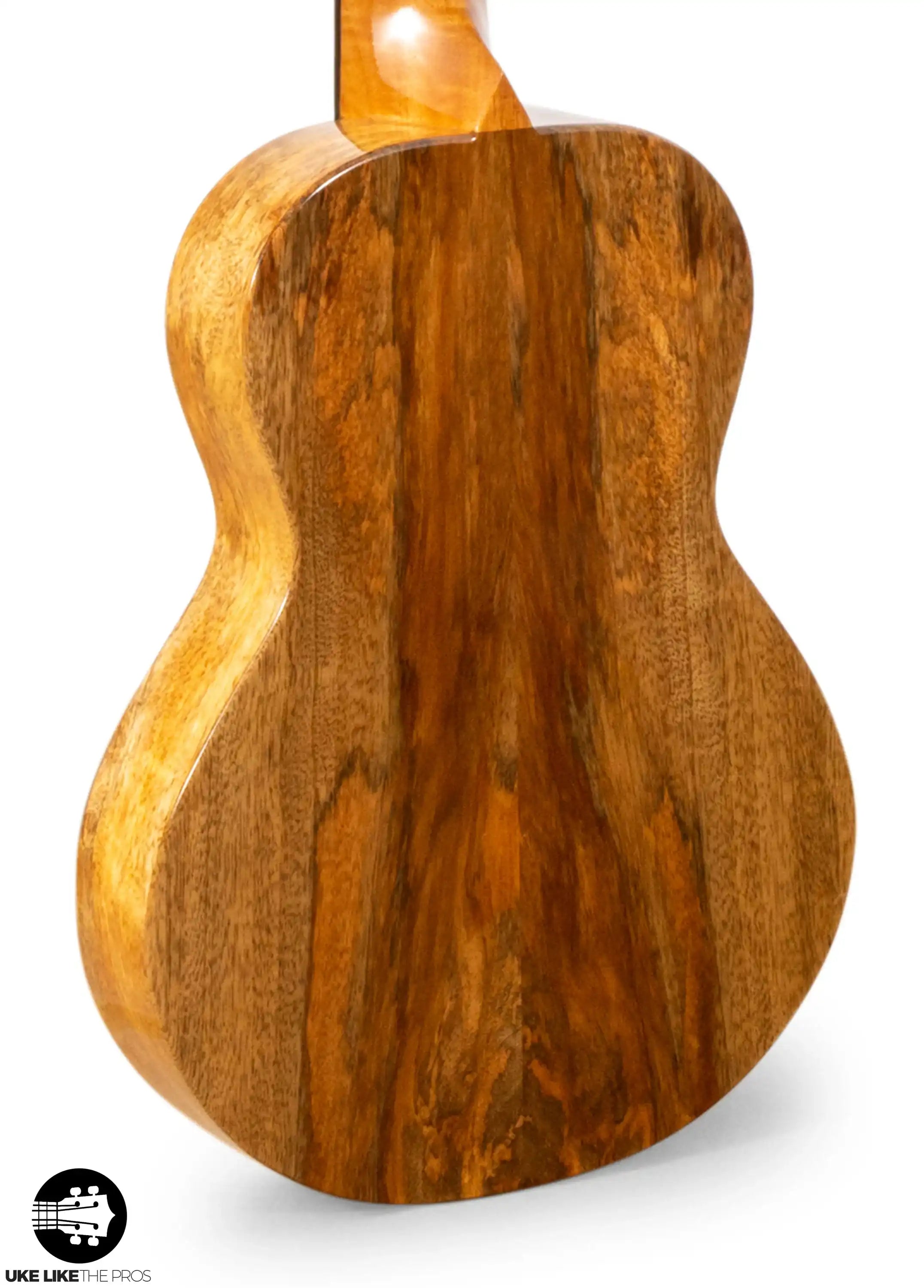 RE_CB_C_Melian_002 | Terry Carter Music Store