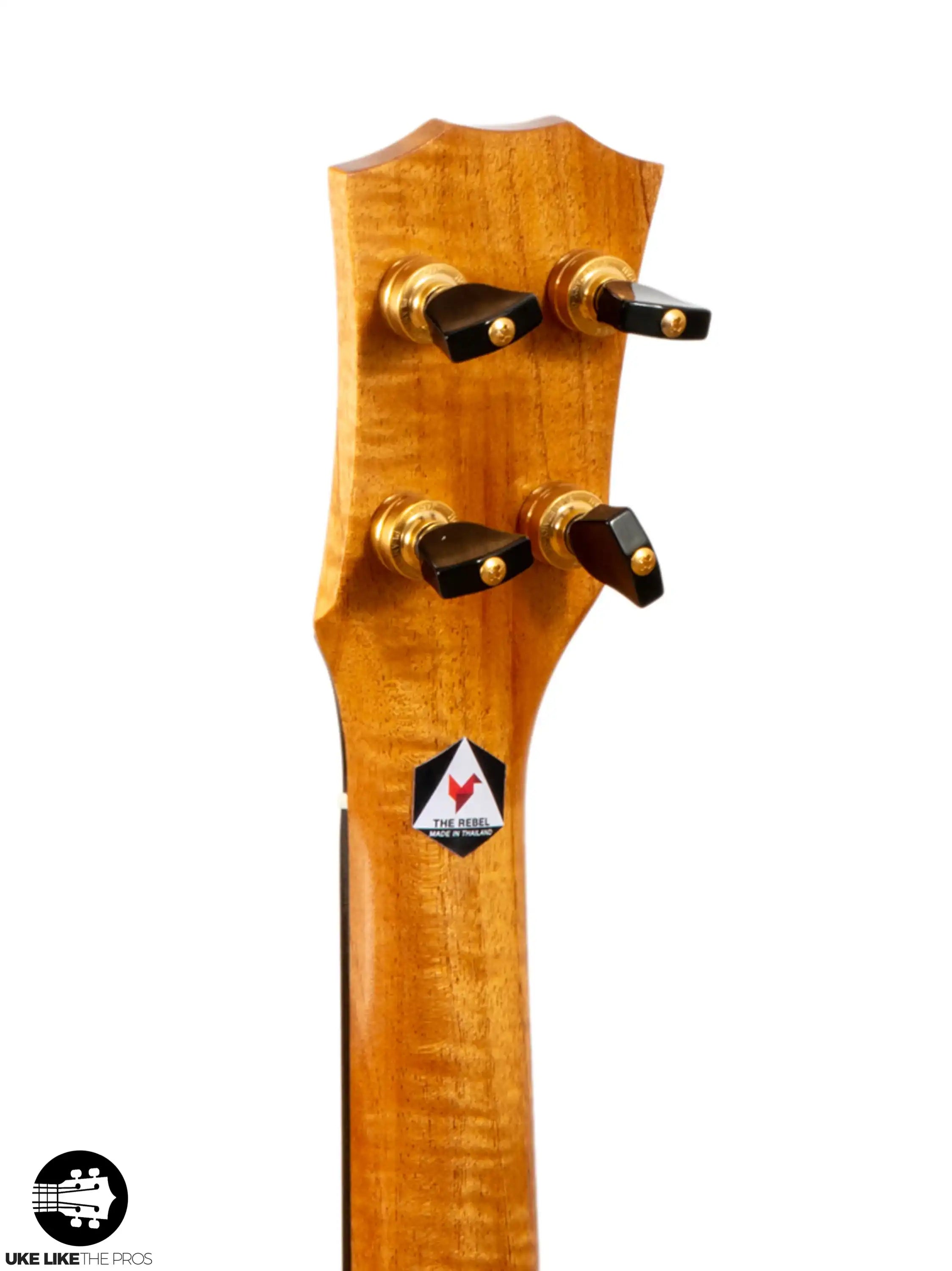 RE_CB_C_Melian_007 | Terry Carter Music Store