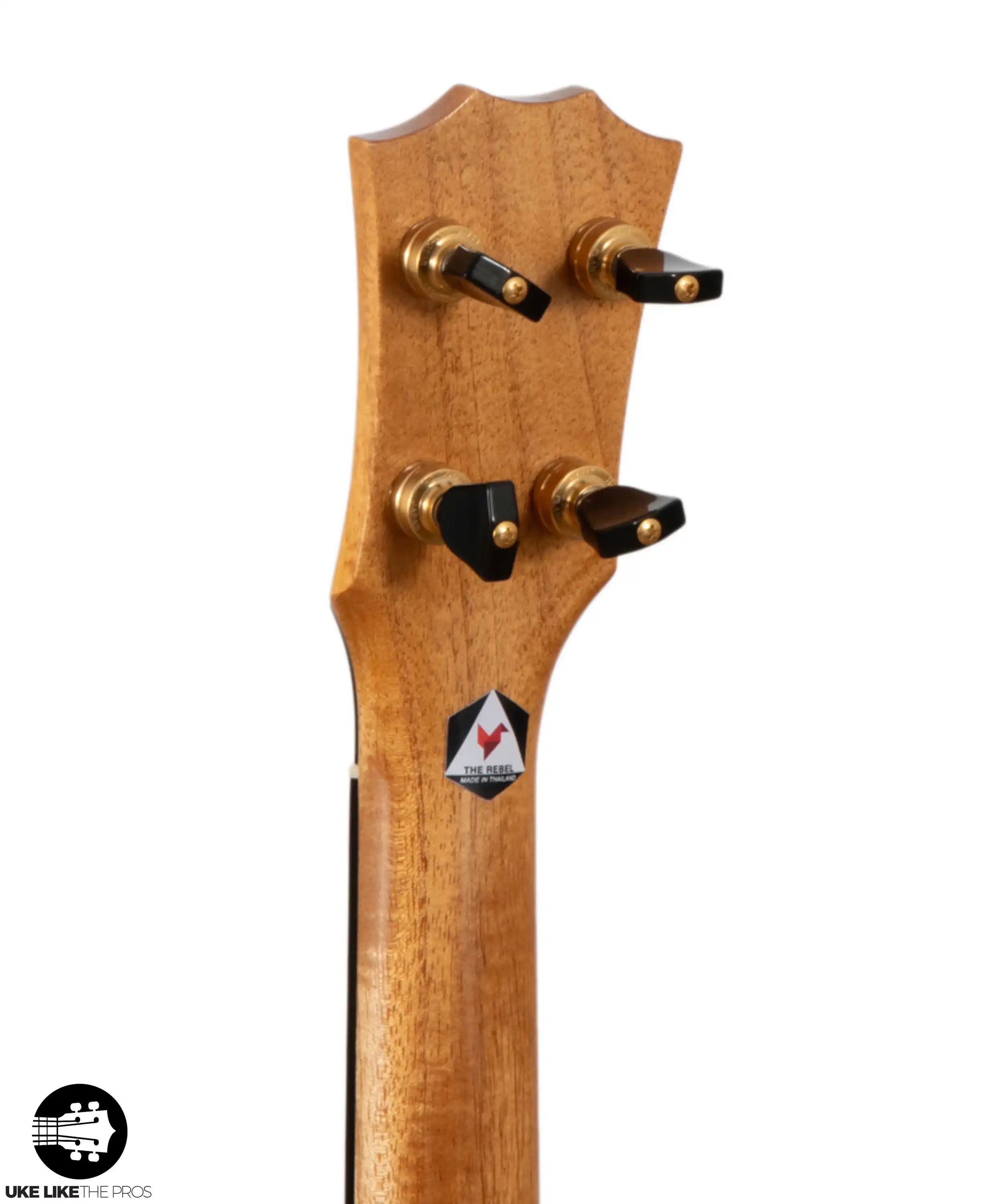 RE_CB_T_Haleth_007 | Terry Carter Music Store