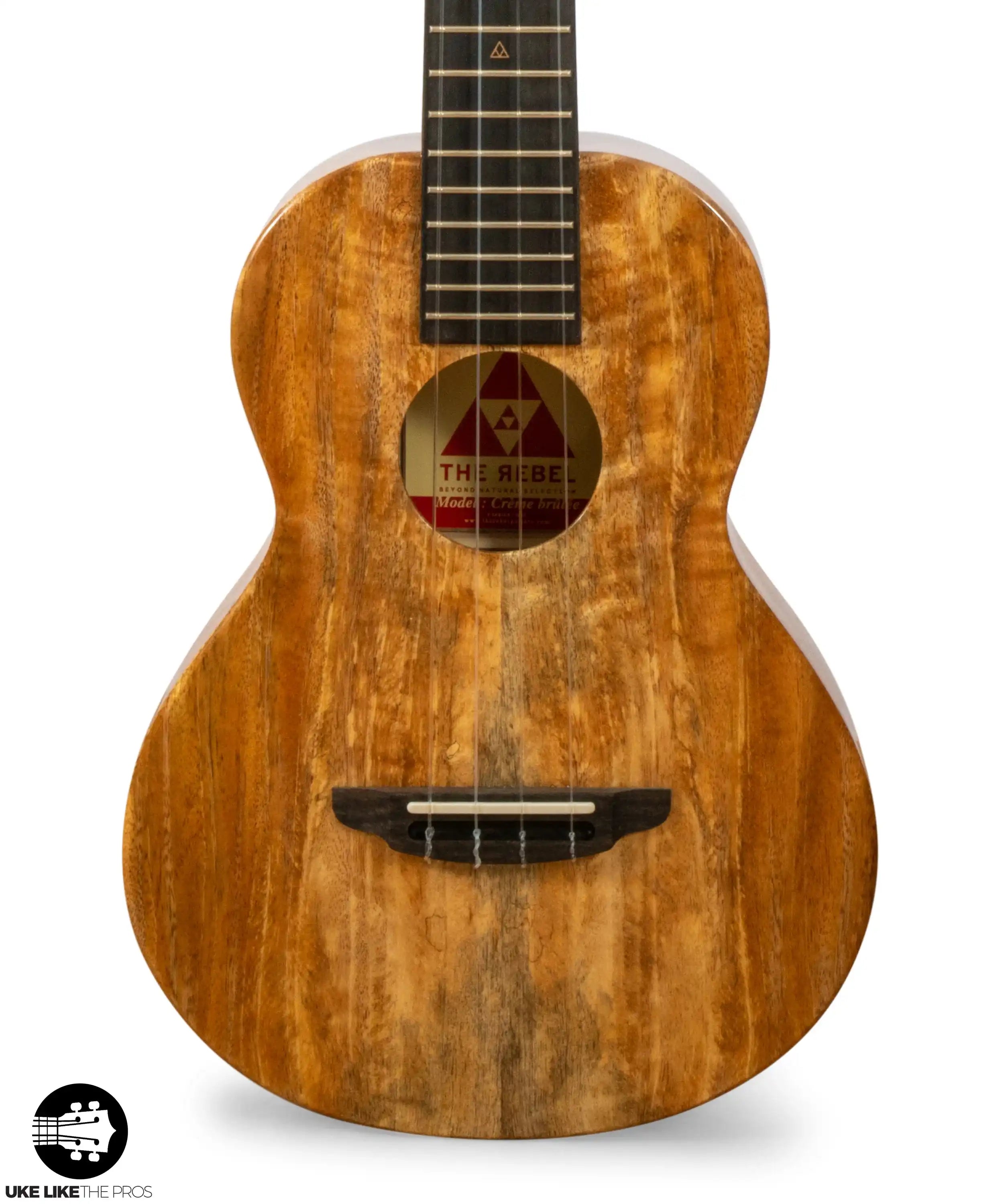 RE_CB_T_Lia_005 | Terry Carter Music Store