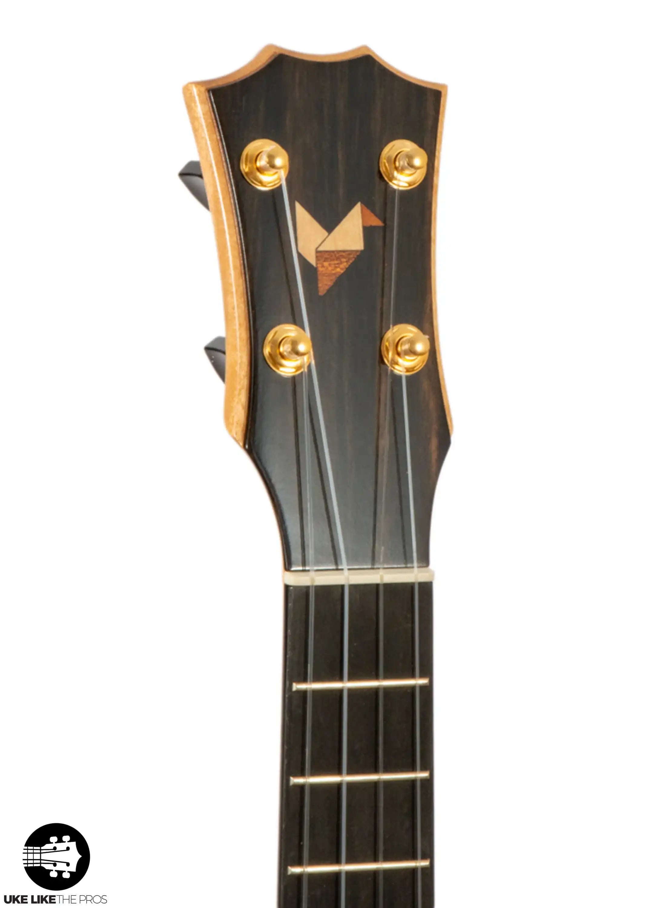 RE_CB_T_Lia_006 | Terry Carter Music Store