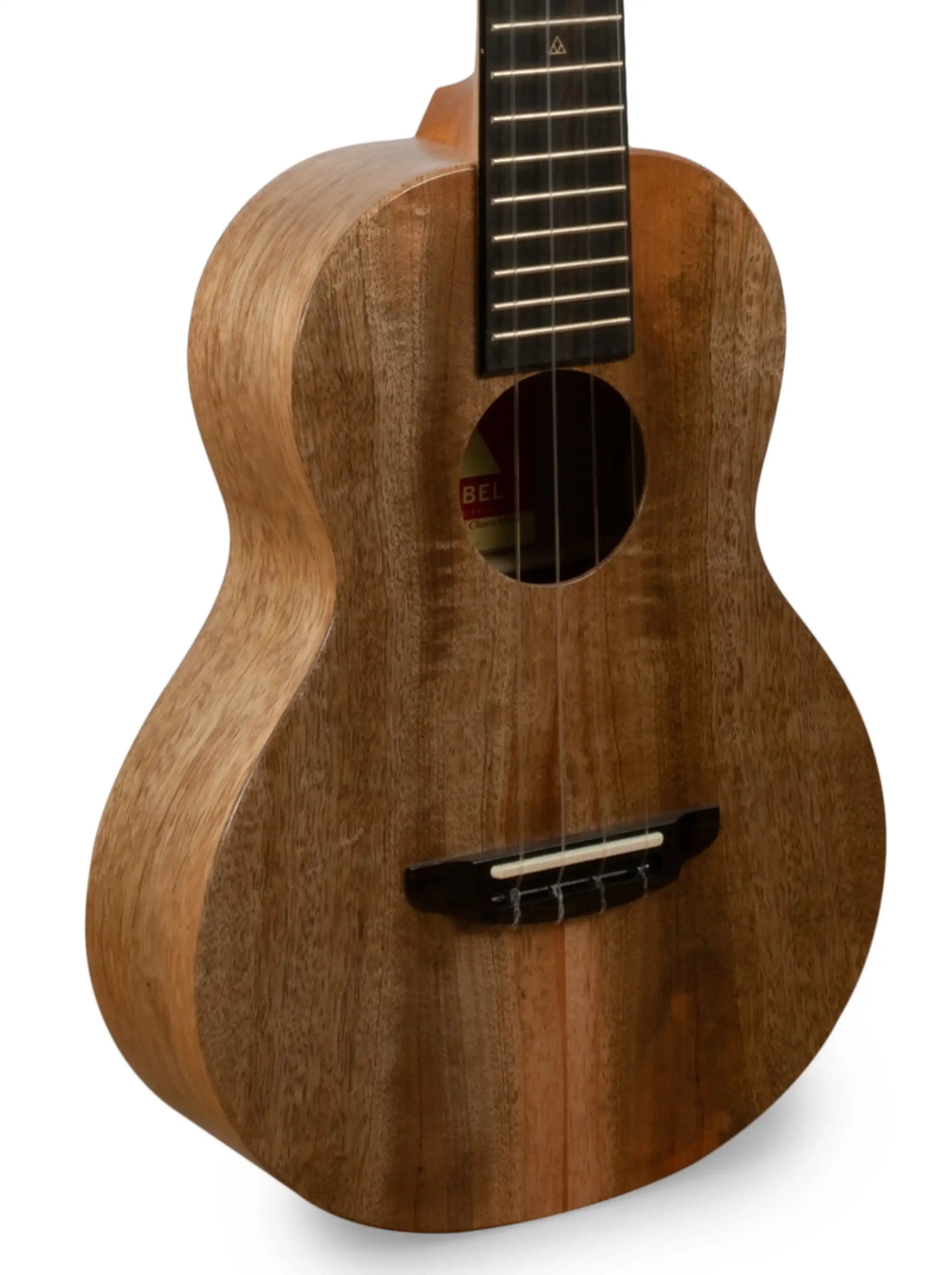 RE_DCR_T_SolarFlare_001 | Terry Carter Music Store