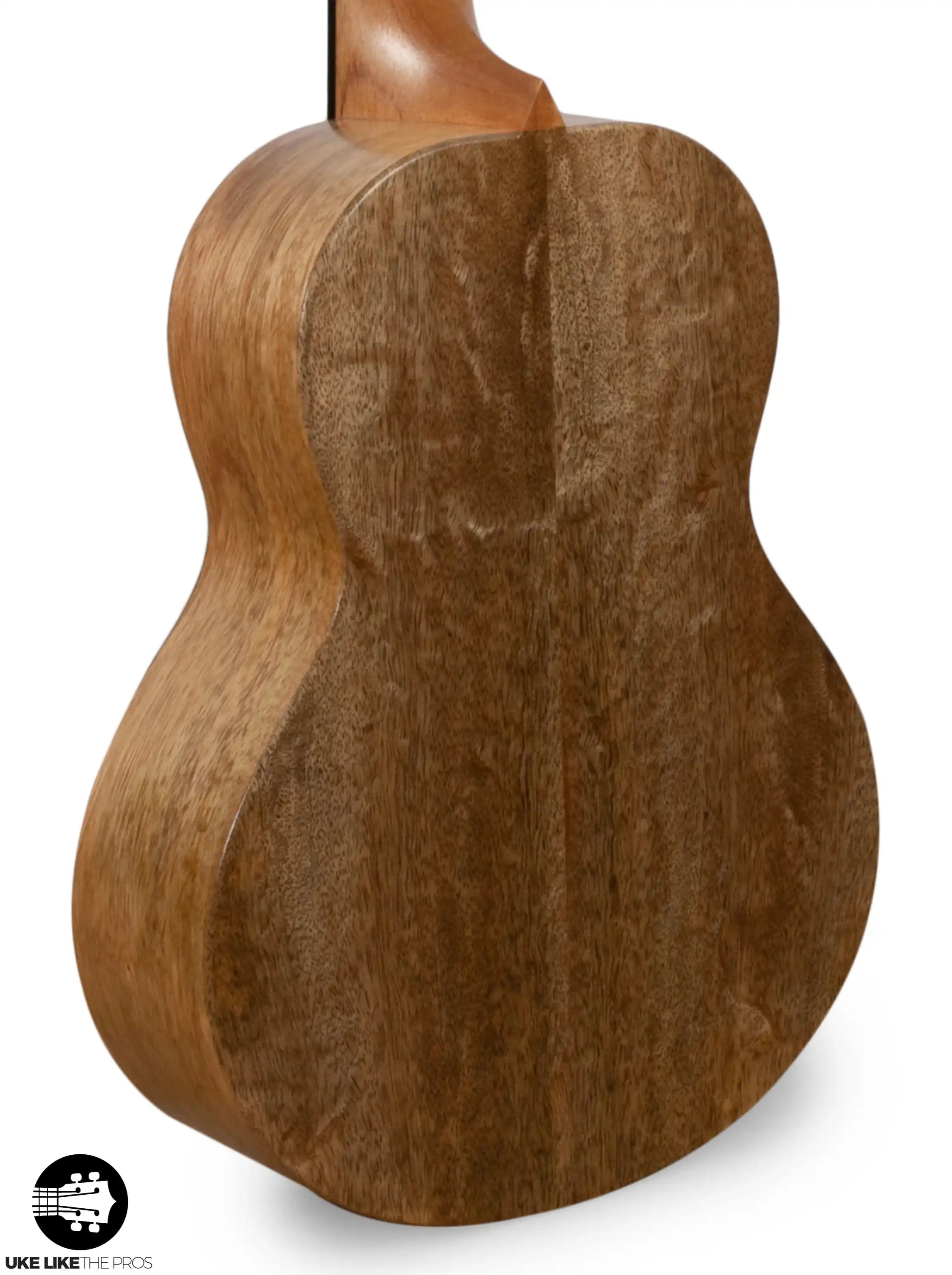 RE_DCR_T_SolarFlare_002 | Terry Carter Music Store