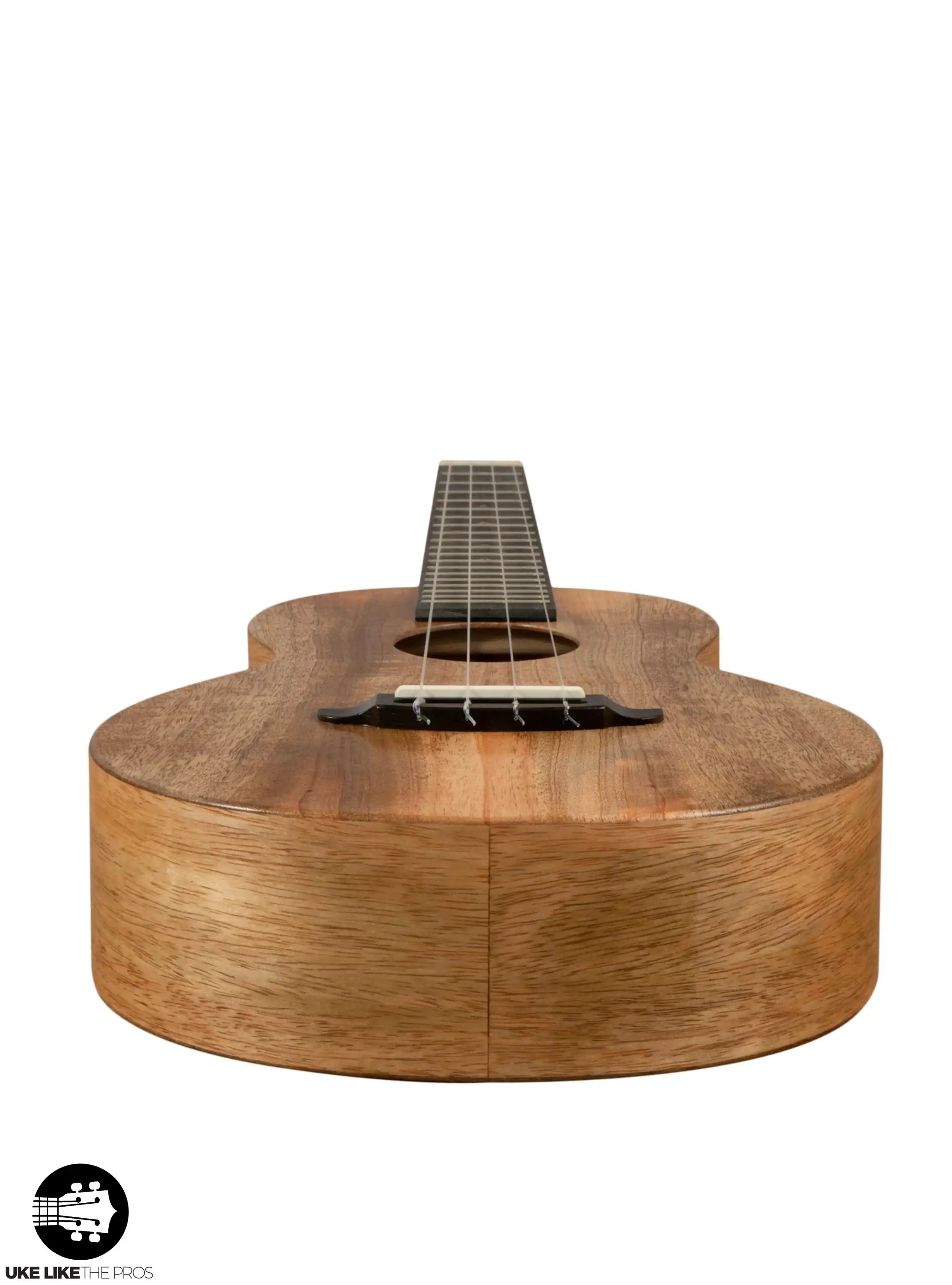 RE_DCR_T_SolarFlare_008 | Terry Carter Music Store