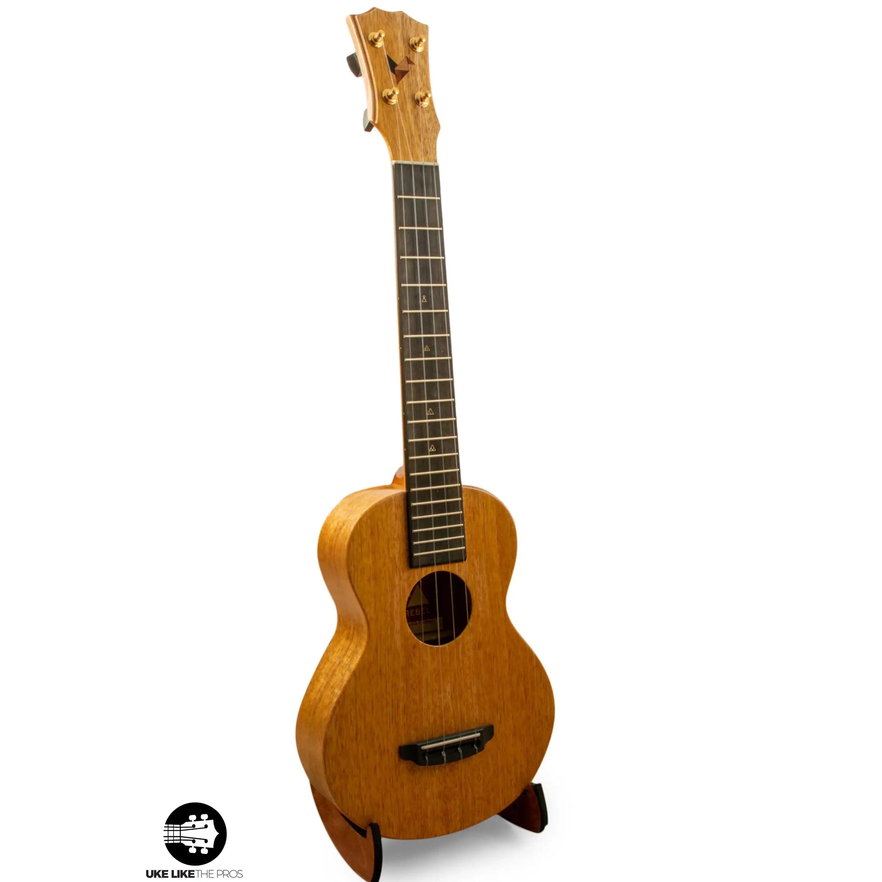 Romero Creations Georgia mahogany ukulele on stand, showcased at Terry Carter Music Store.