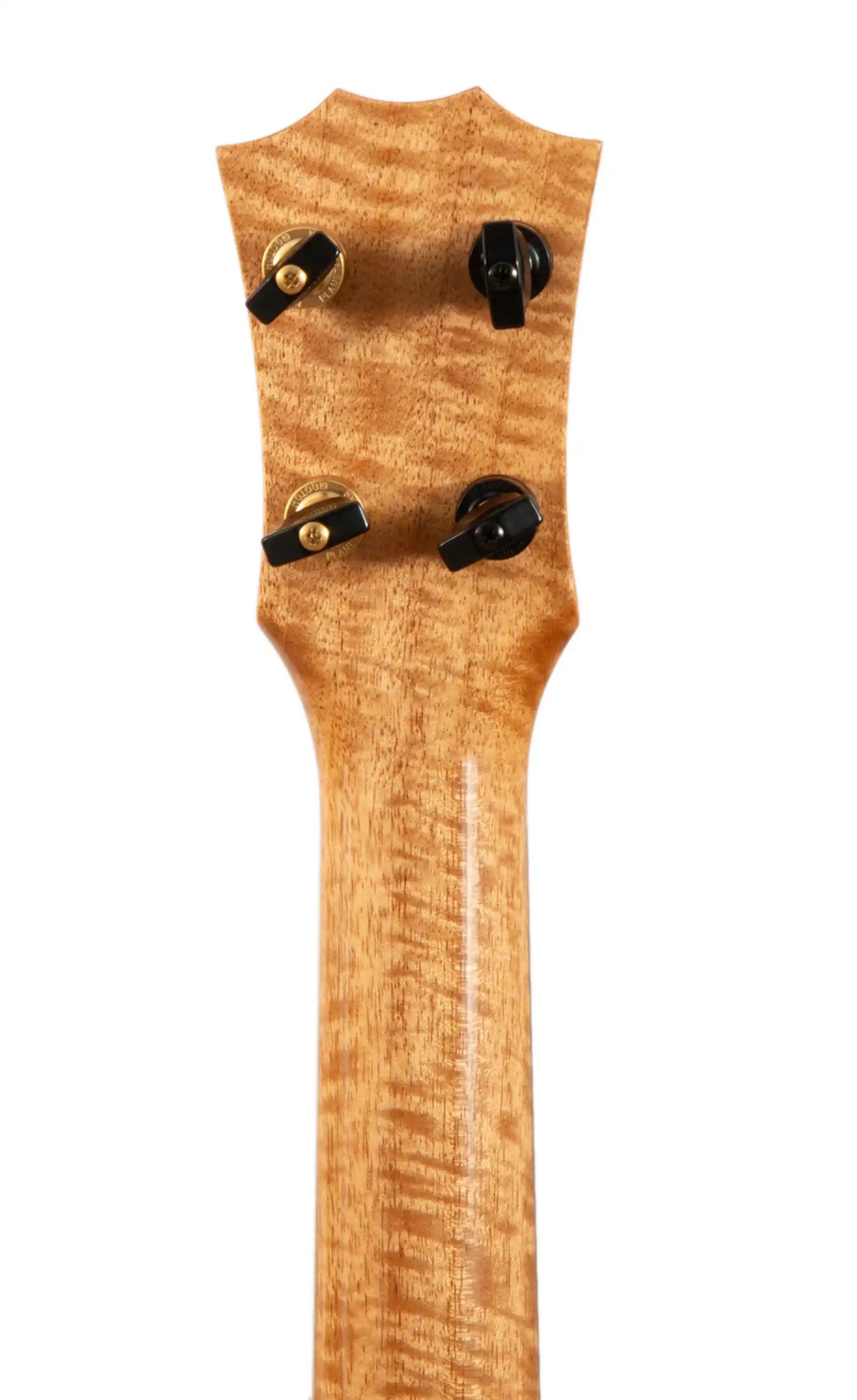Figured wood ukulele headstock with gold tuners, visible at Terry Carter Music Store