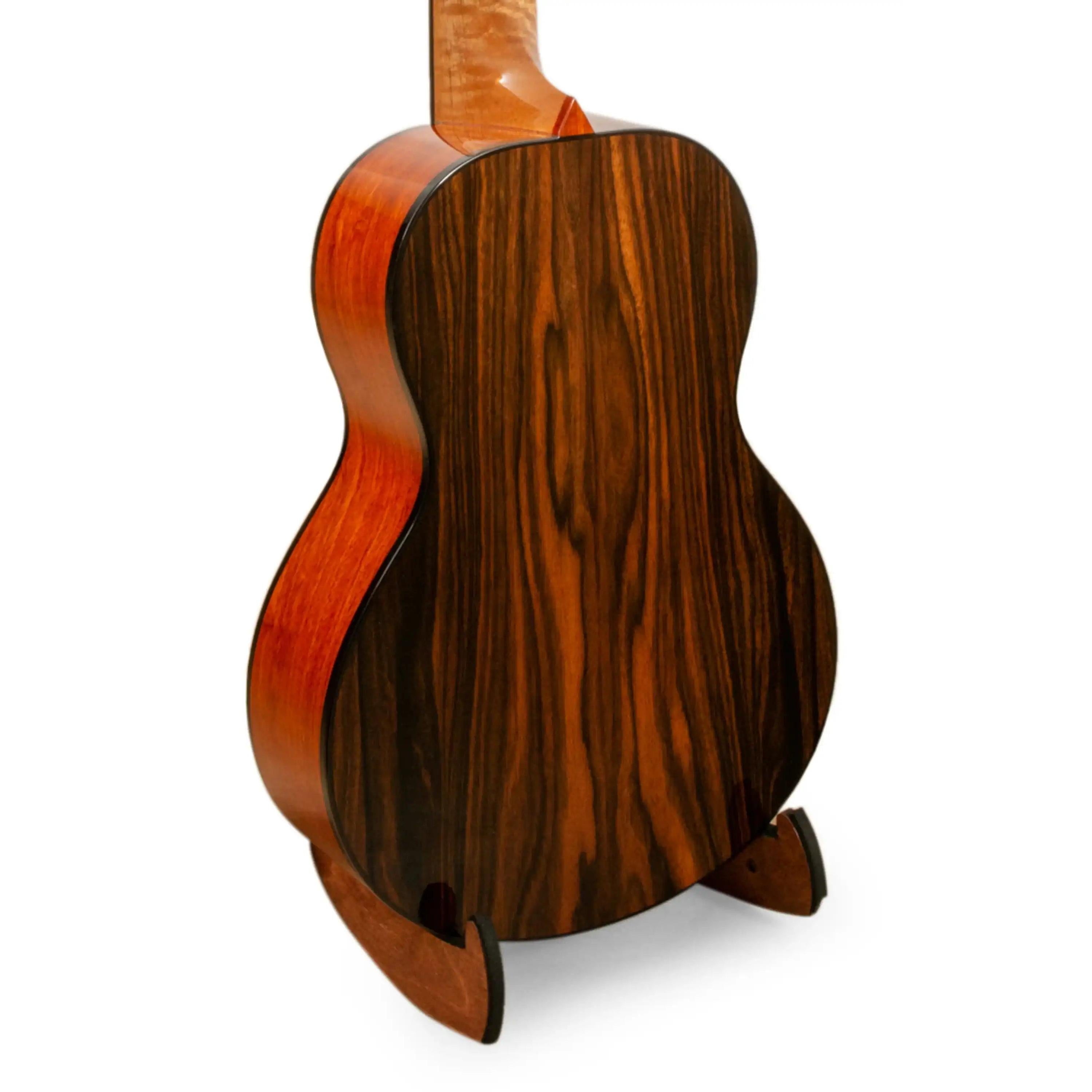 Back view of acoustic guitar with dark striped rosewood body at Terry Carter Music Store