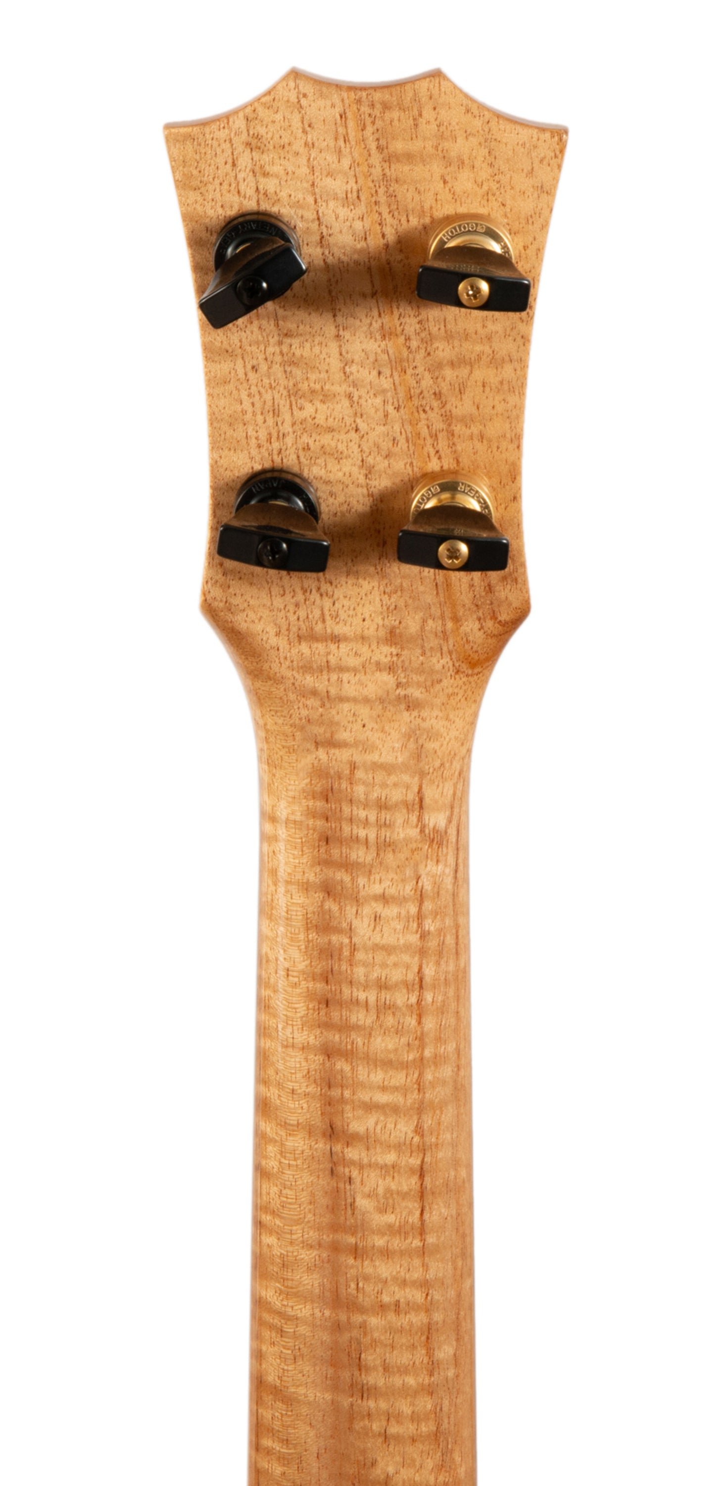 Rebel New Particle Tenor Ukulele Solid Cedar/Spruce "Daito" ONLY 10 MADE