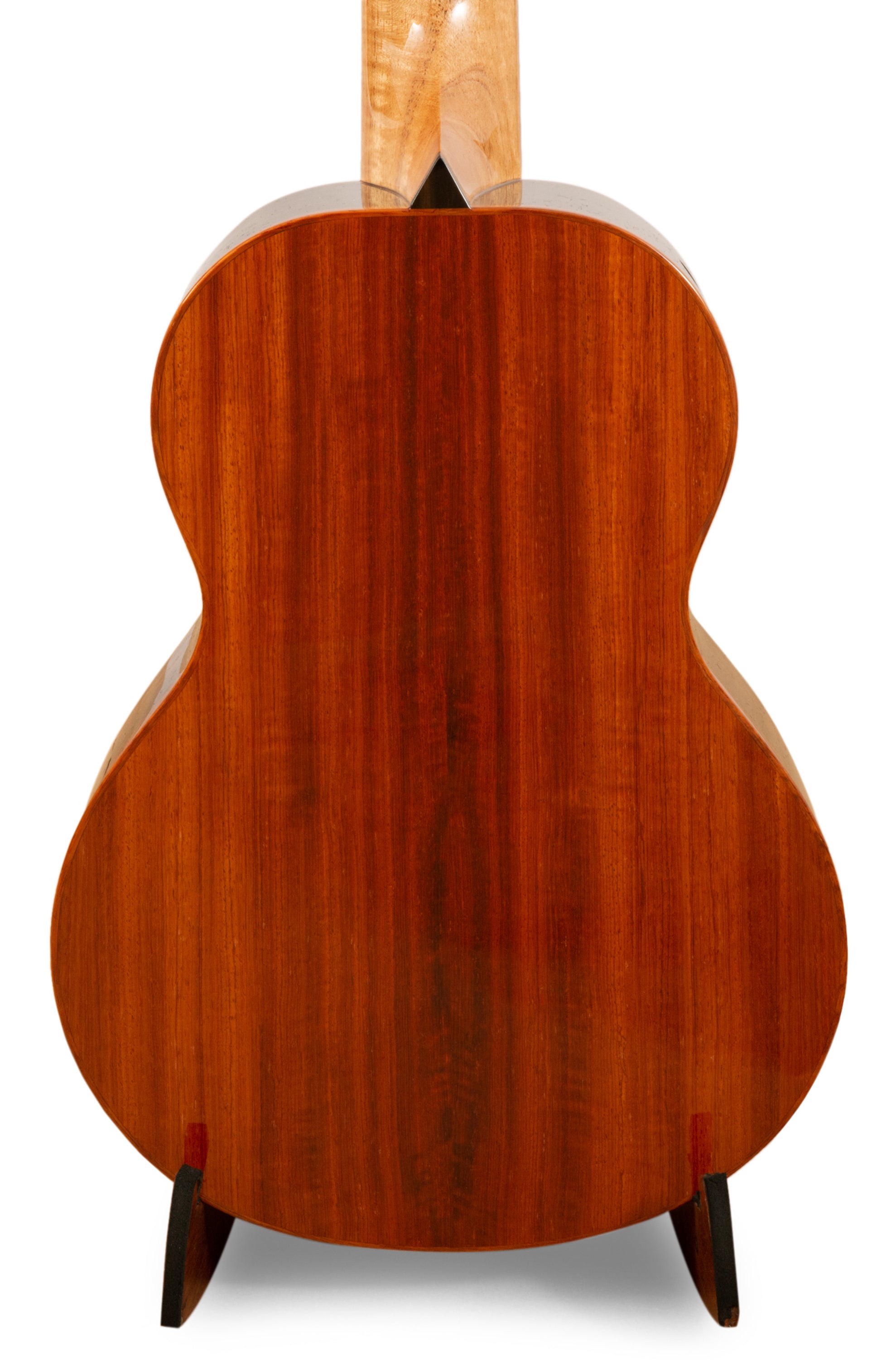 Rebel New Particle Tenor Ukulele Solid Cedar/Spruce "Daito" ONLY 10 MADE