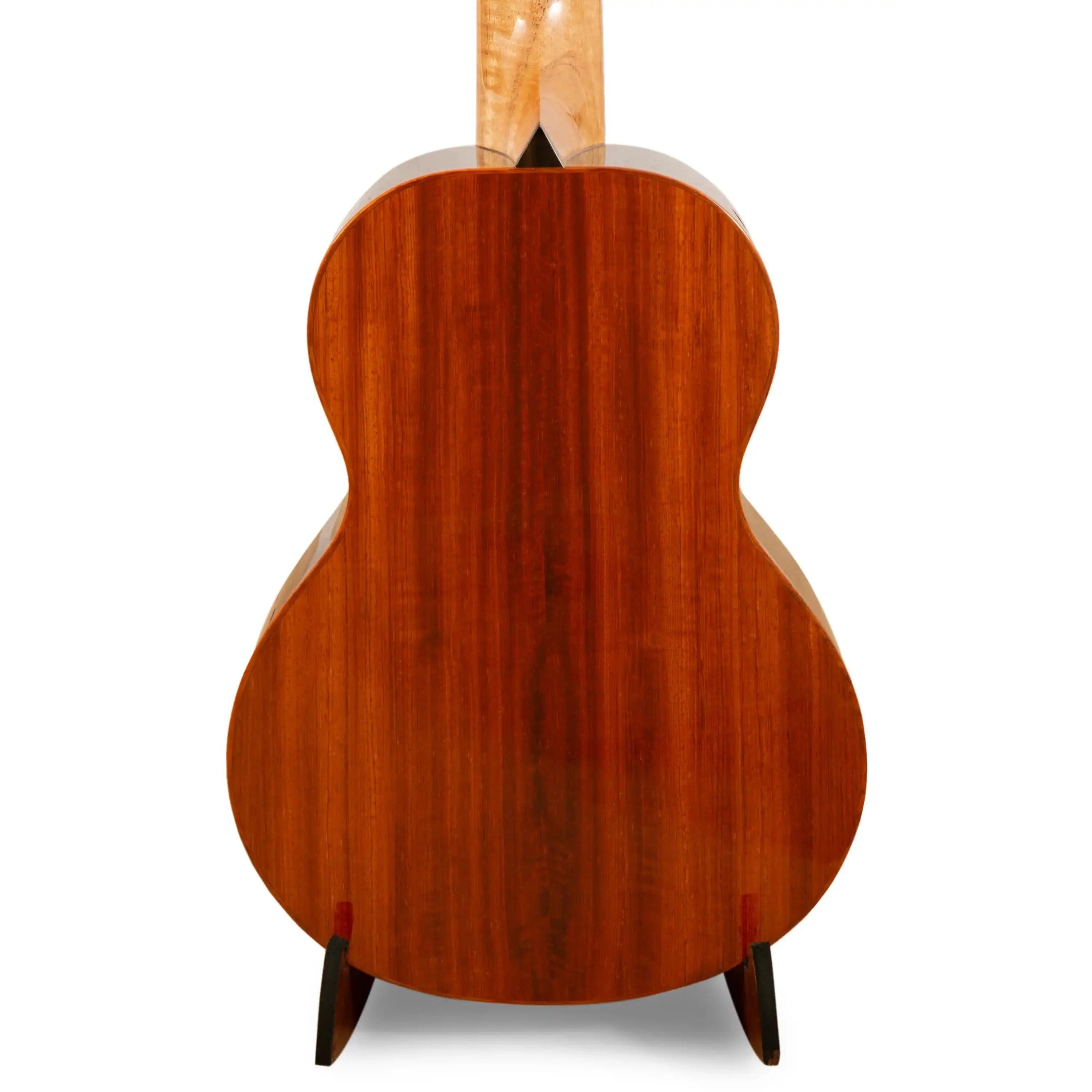 Glossy solid wood guitar back with curved grain, displayed on stand at Terry Carter Music Store