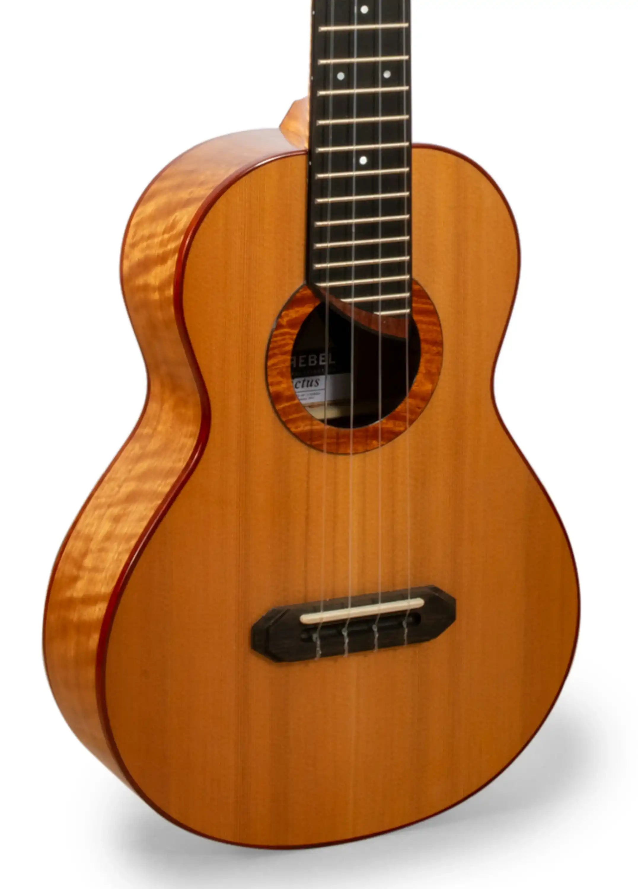 RE_Invivtus_T_Pippen_001 | Terry Carter Music Store