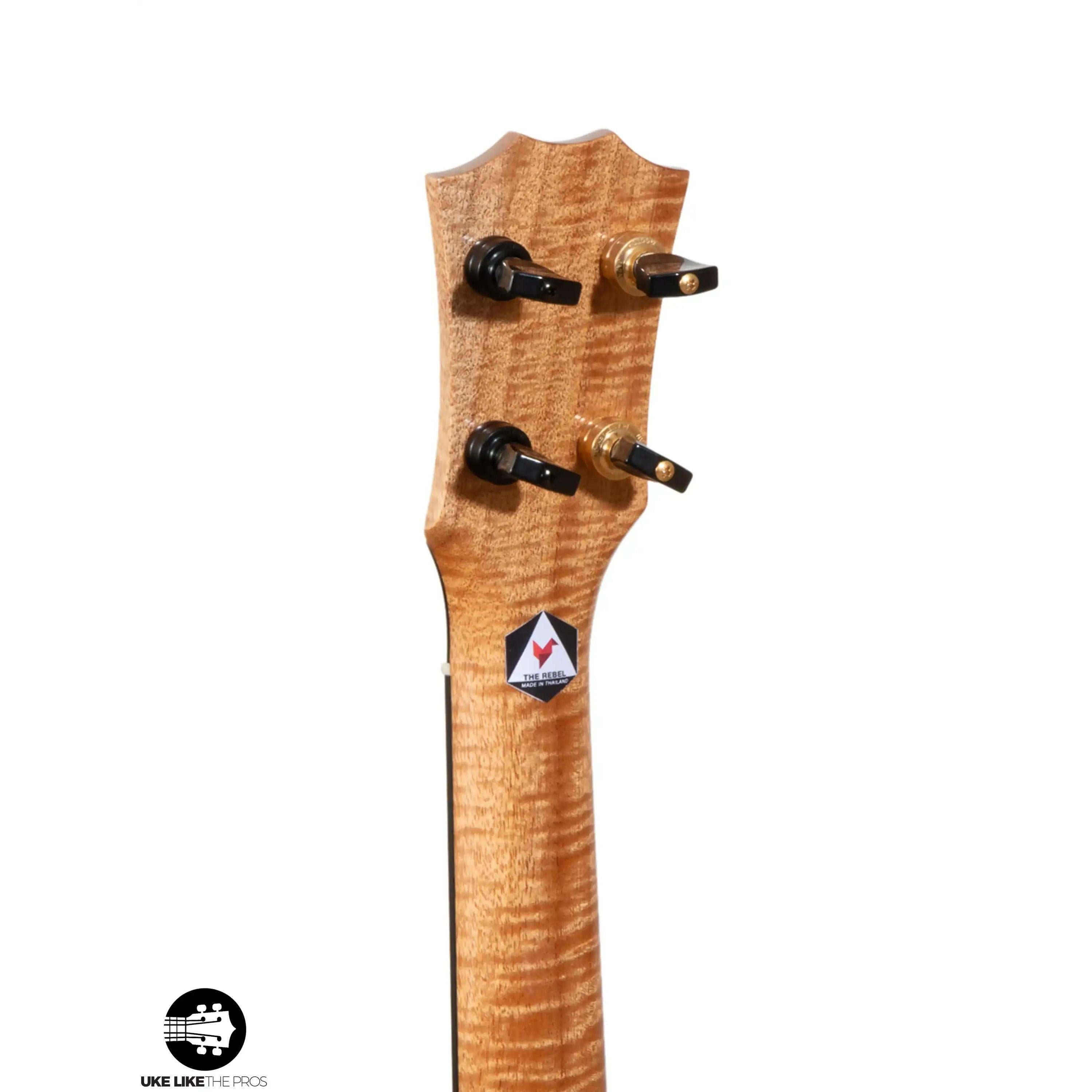 RE_Parizval_002_70f127d0-c7c2-43d0-8ab5-16ceb4fdd05f | Terry Carter Music Store