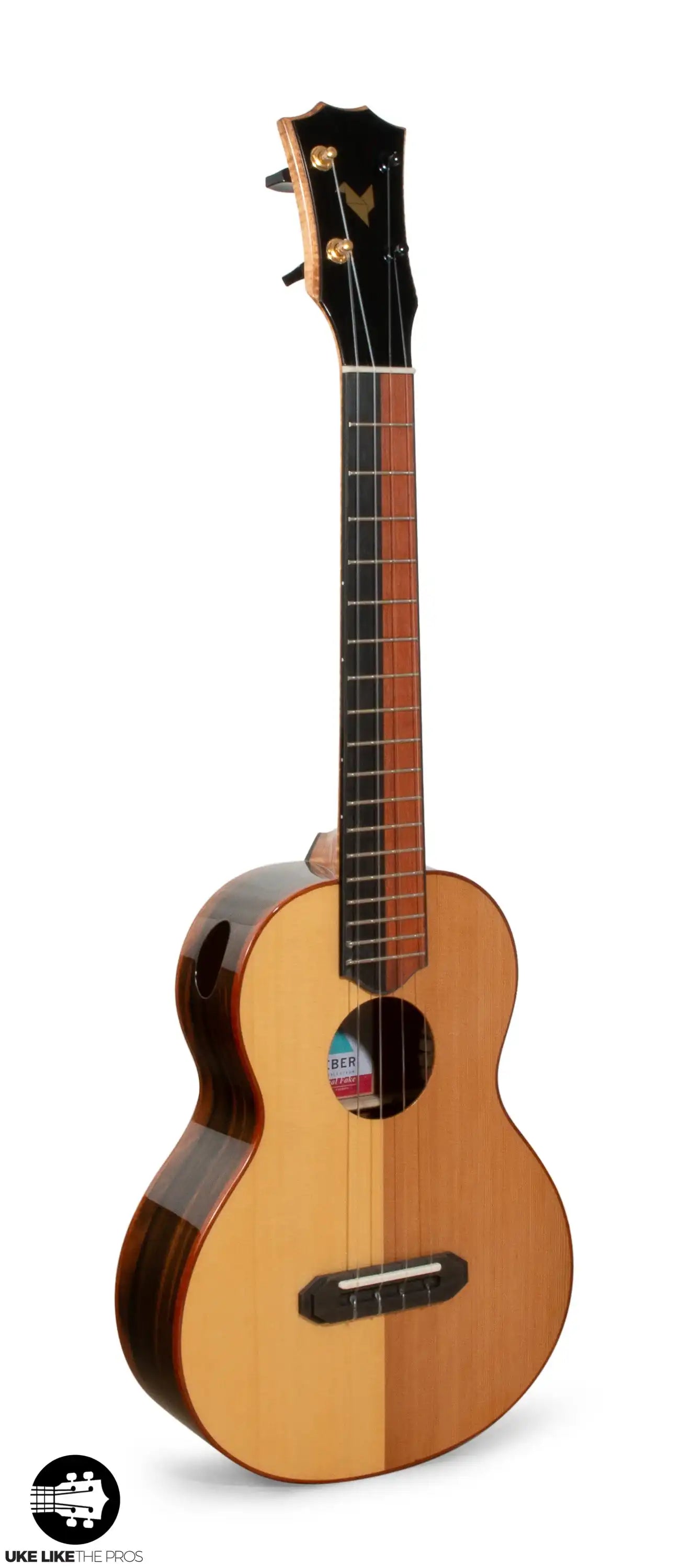 RE_Parizval_003 | Terry Carter Music Store