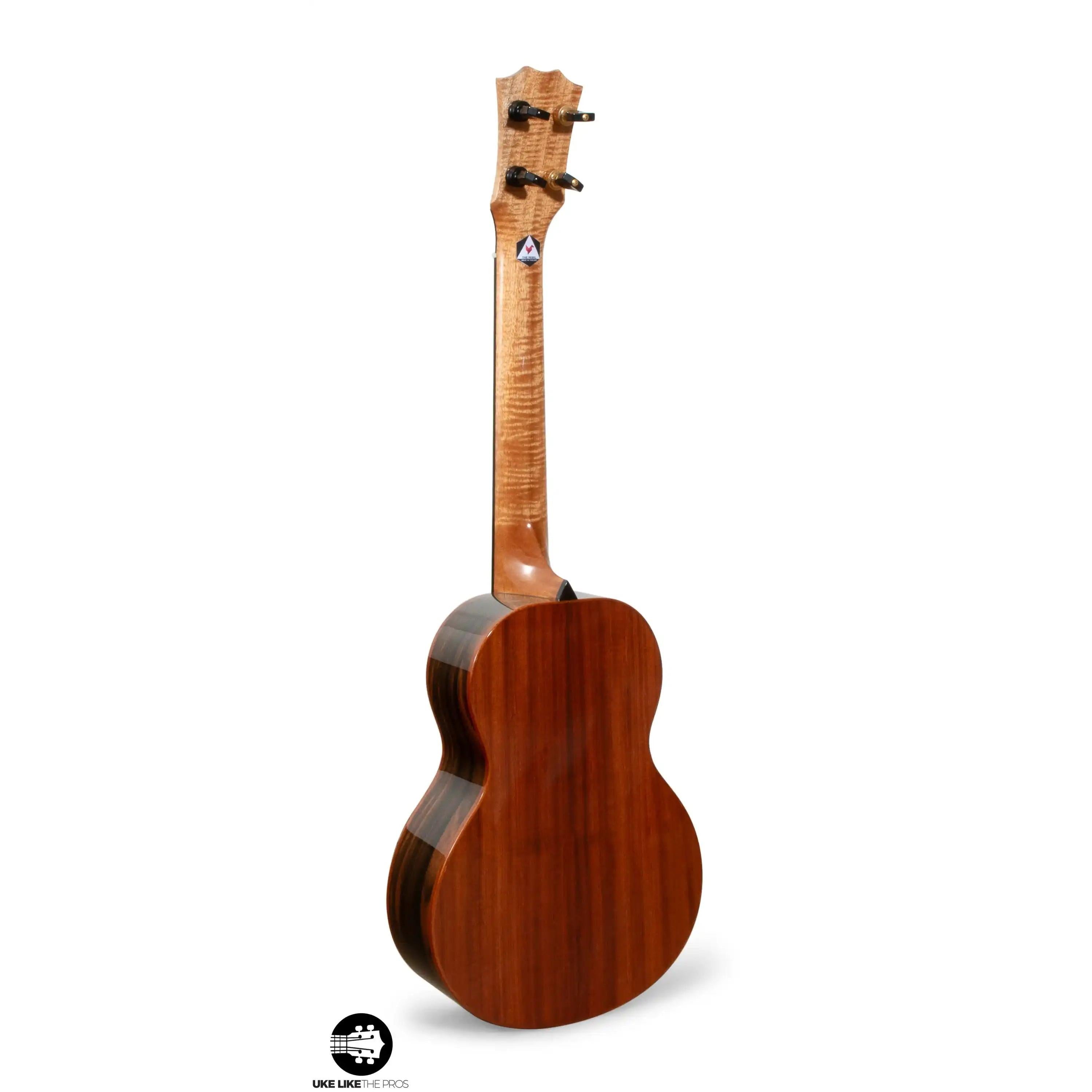 RE_Parizval_005 | Terry Carter Music Store