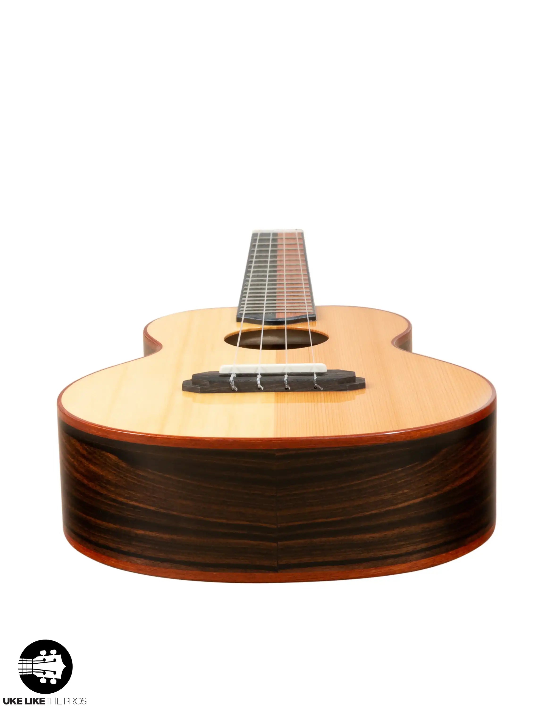 RE_Sho_001 | Terry Carter Music Store