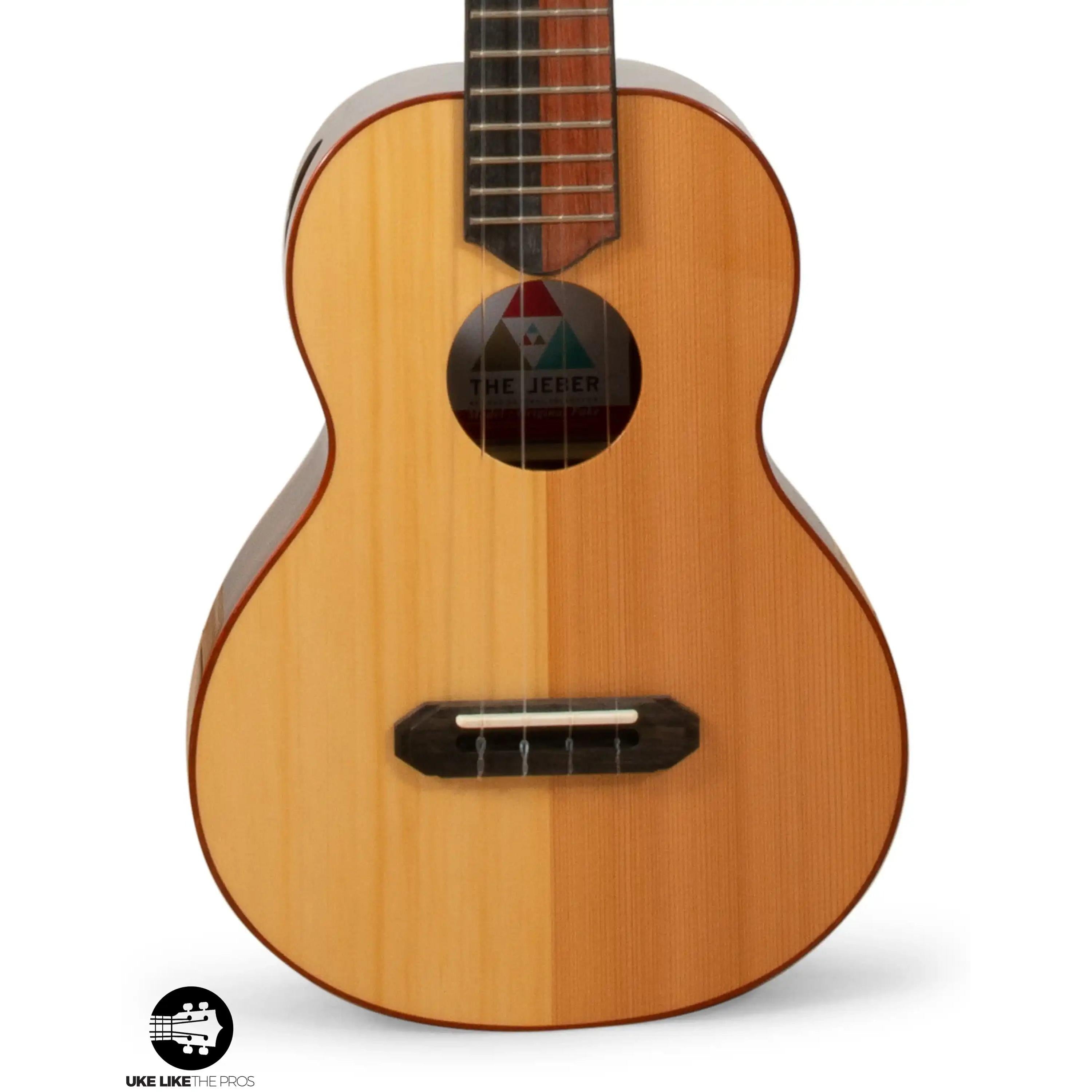 RE_Sho_002 | Terry Carter Music Store