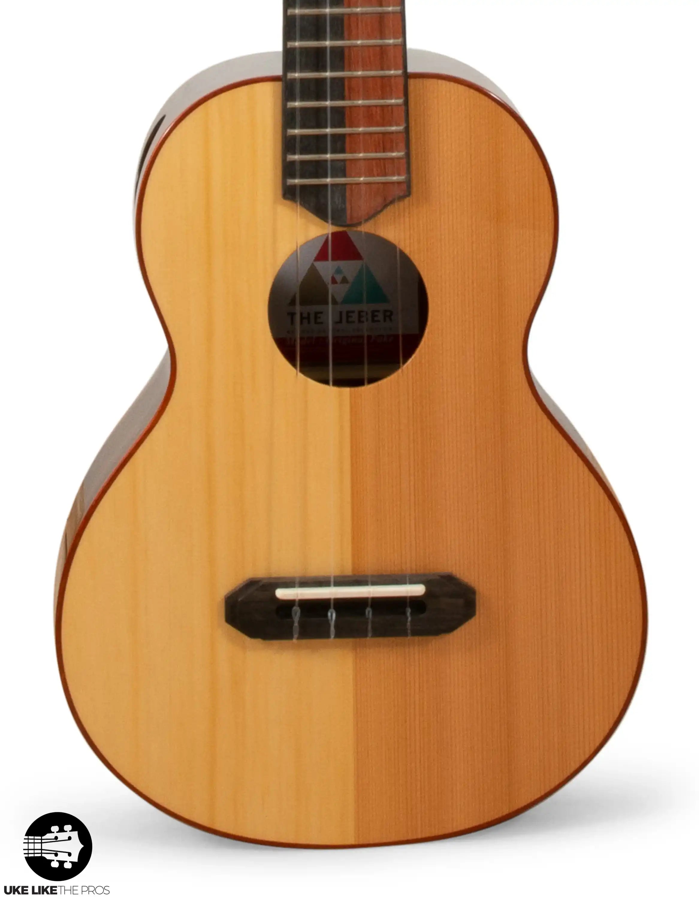 RE_Sho_002 | Terry Carter Music Store