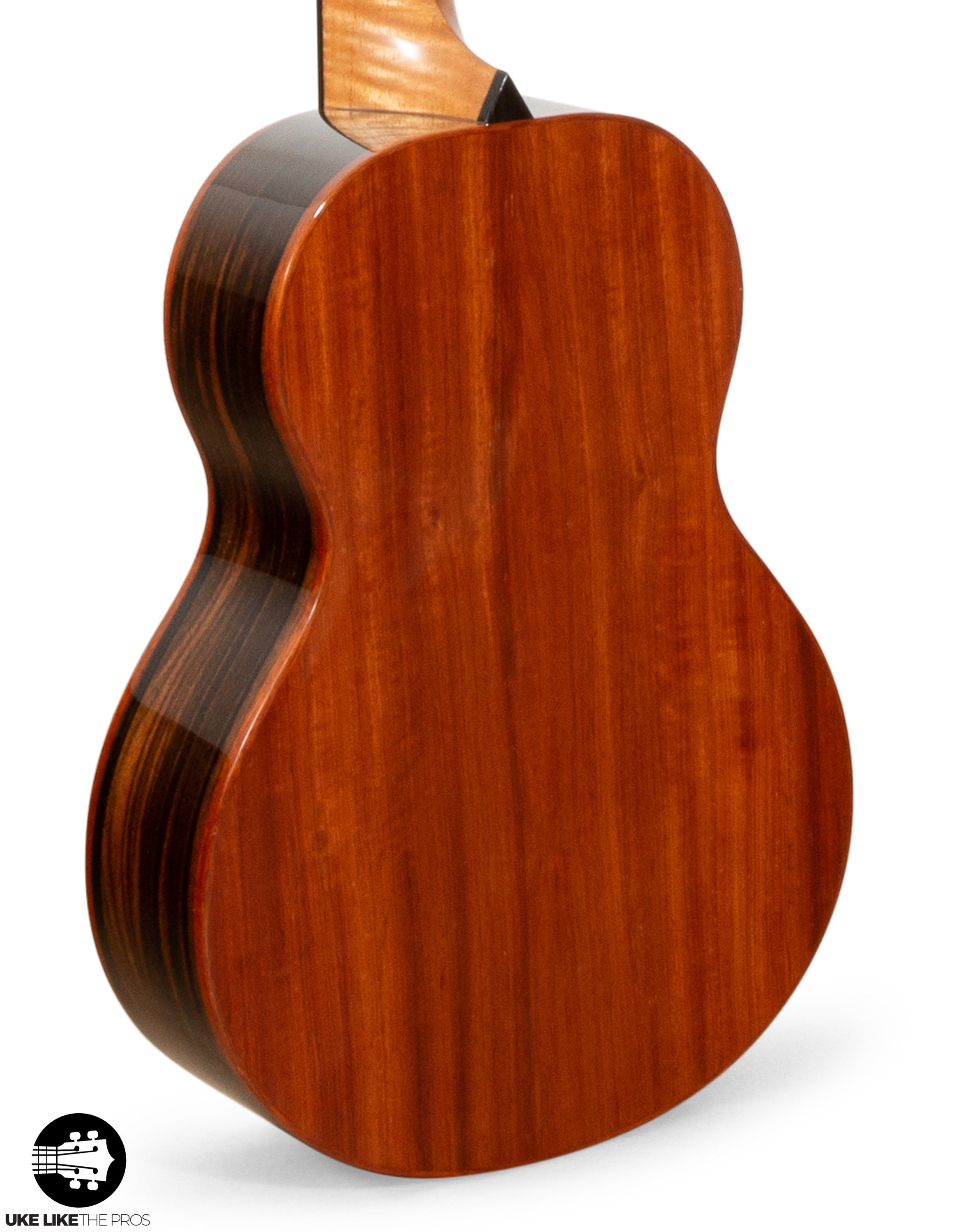 Rebel New Particle Tenor Ukulele Solid Cedar/Spruce "Sho" ONLY 10 MADE