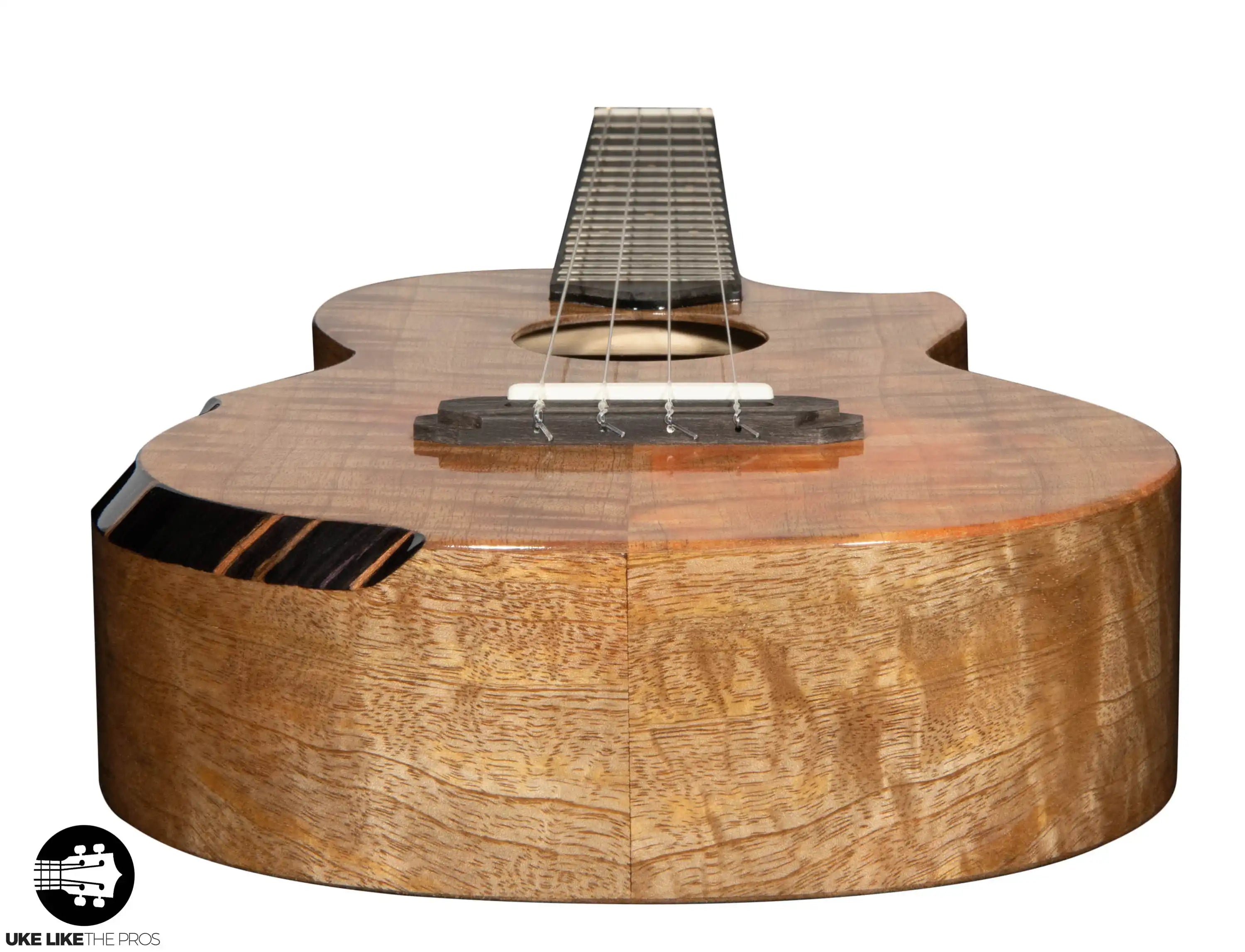 RebelArmrestTEmmit_001 | Terry Carter Music Store