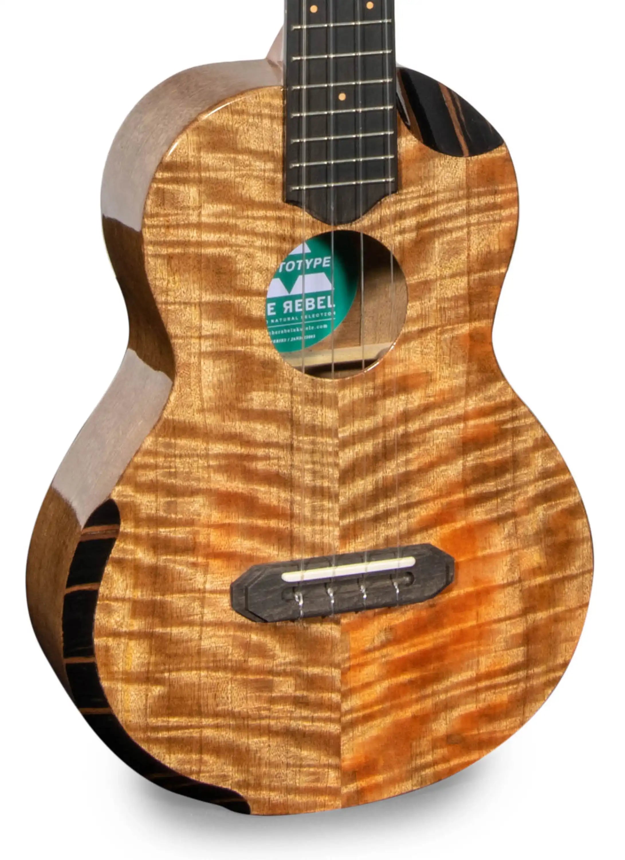 RebelArmrestTEmmit_002 | Terry Carter Music Store