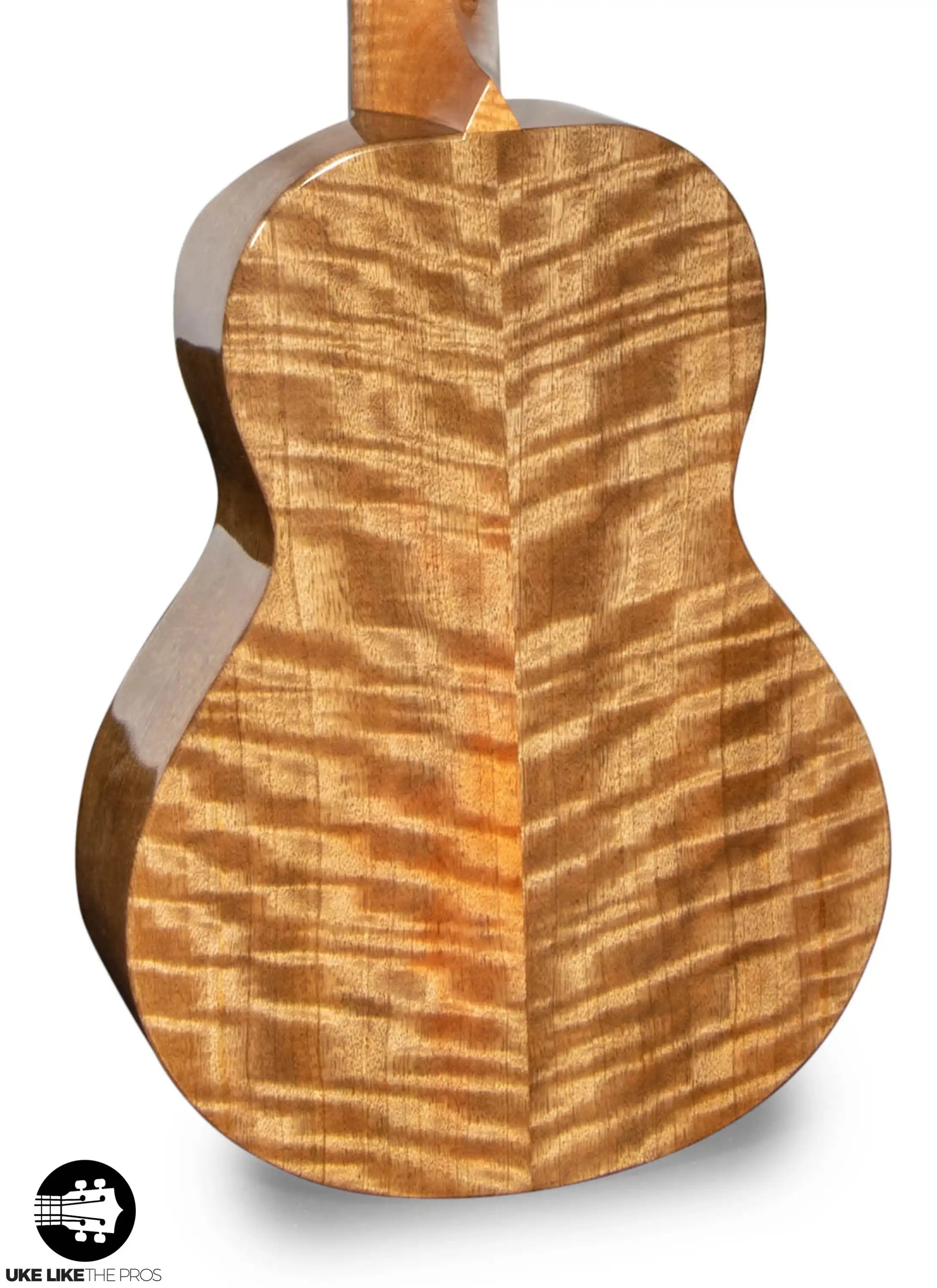 RebelArmrestTEmmit_004-2 | Terry Carter Music Store